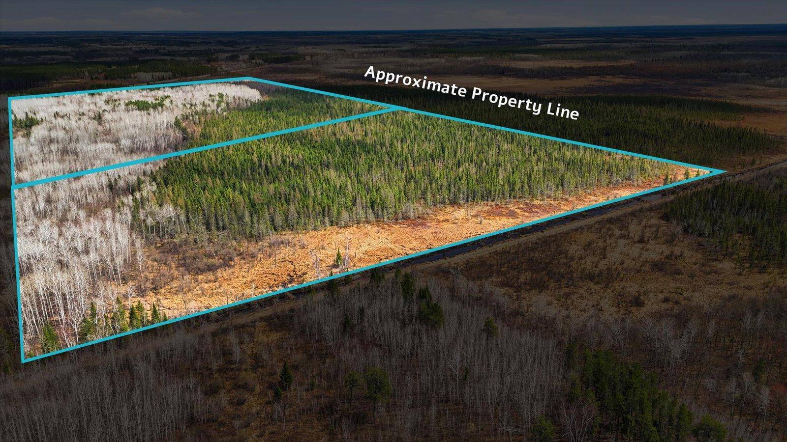 TBD Town Road #55, Big Falls, MN 56627