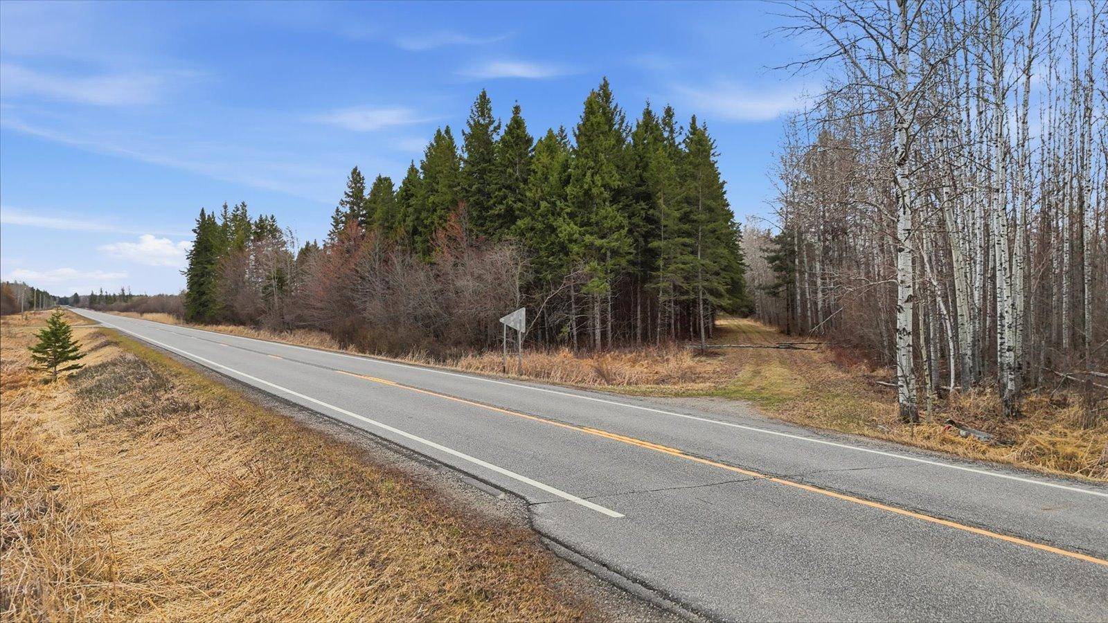 TBD Town Road #55, Big Falls, MN 56627