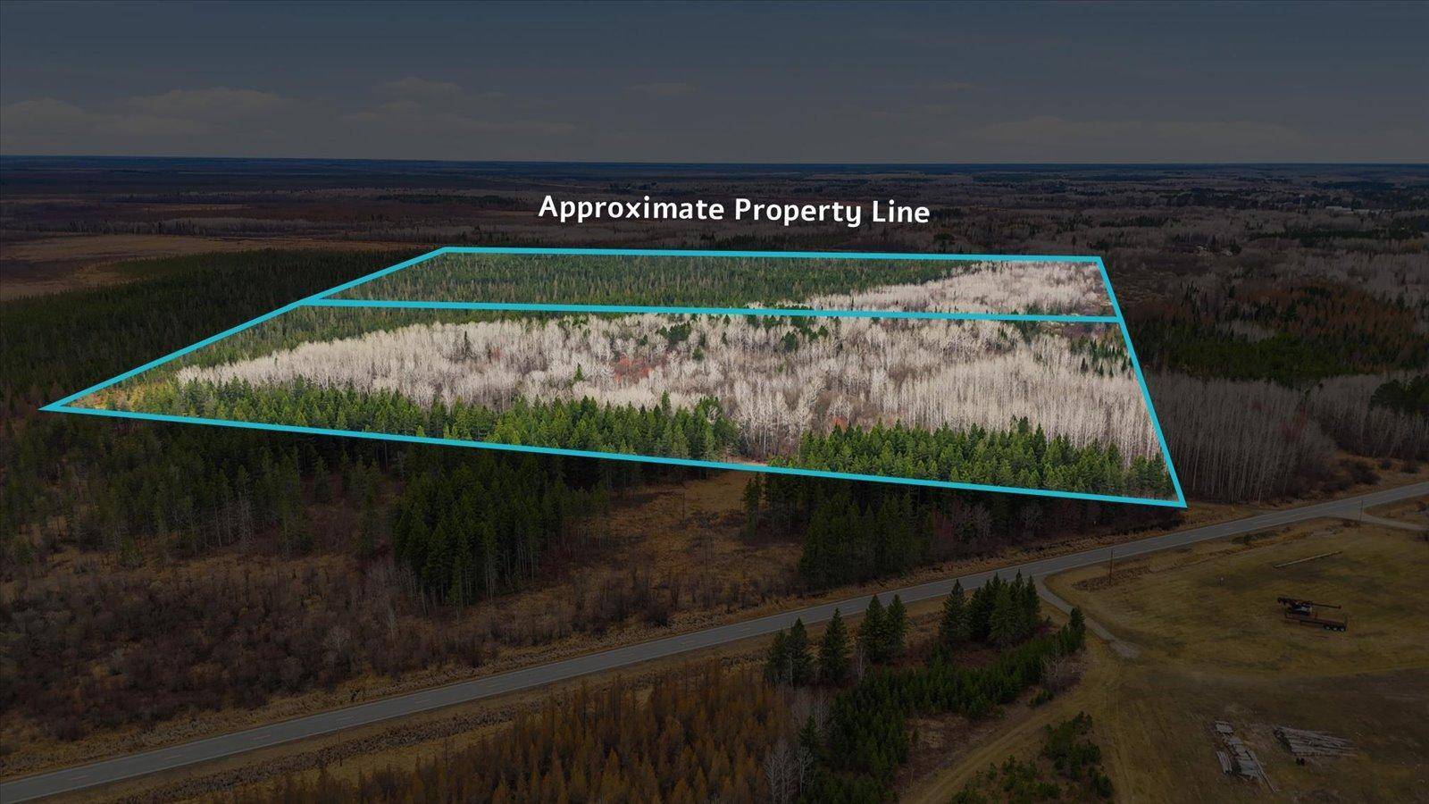TBD Town Road #55, Big Falls, MN 56627