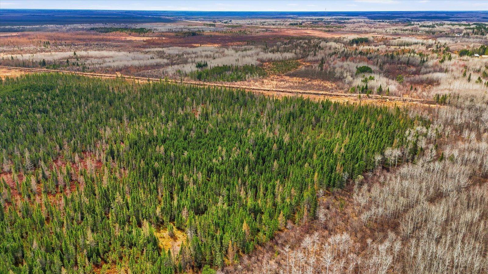 TBD Town Road #55, Big Falls, MN 56627
