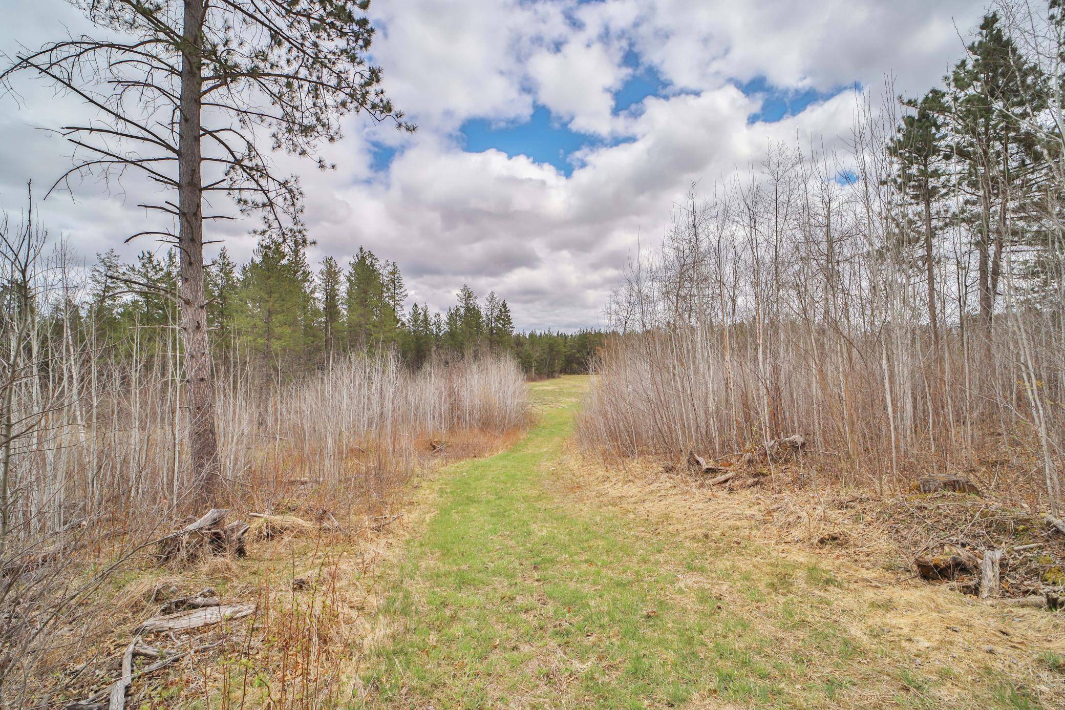 TBD 65th AVE SW, Motley, MN 56466