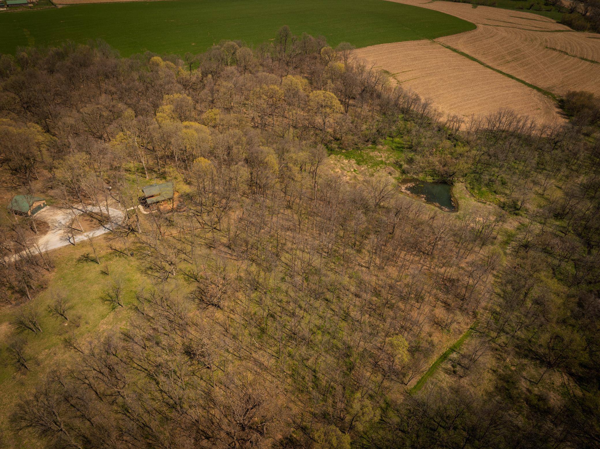 12994 385th AVE, Canton, MN 55922