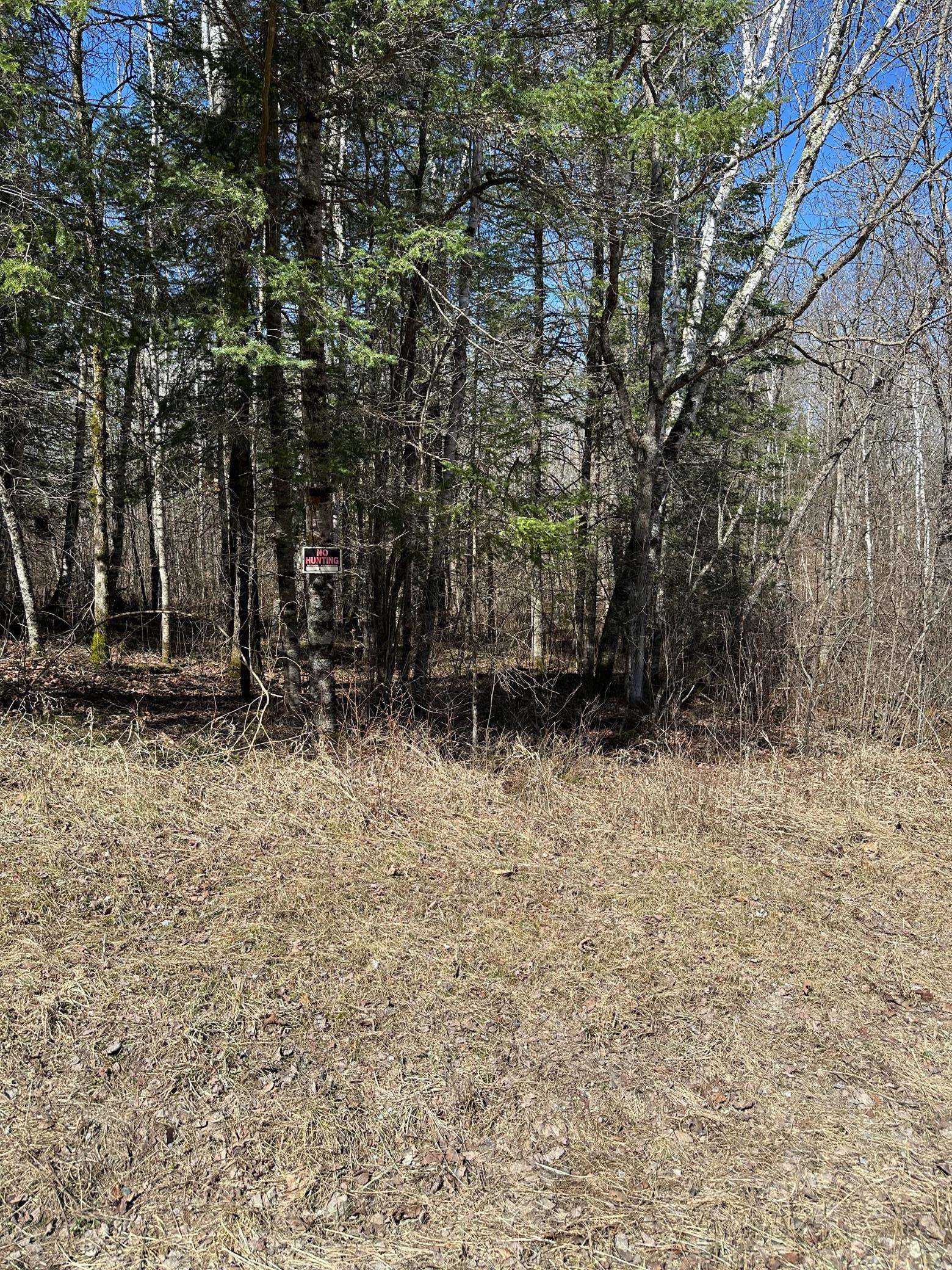 TBD CT 307, Blackduck, MN 56630
