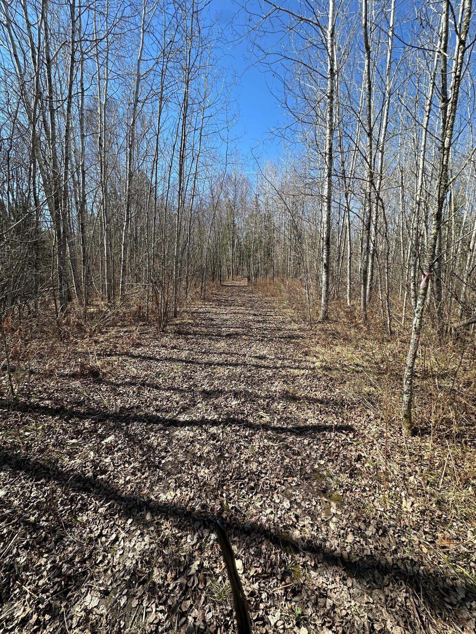 TBD CT 307, Blackduck, MN 56630