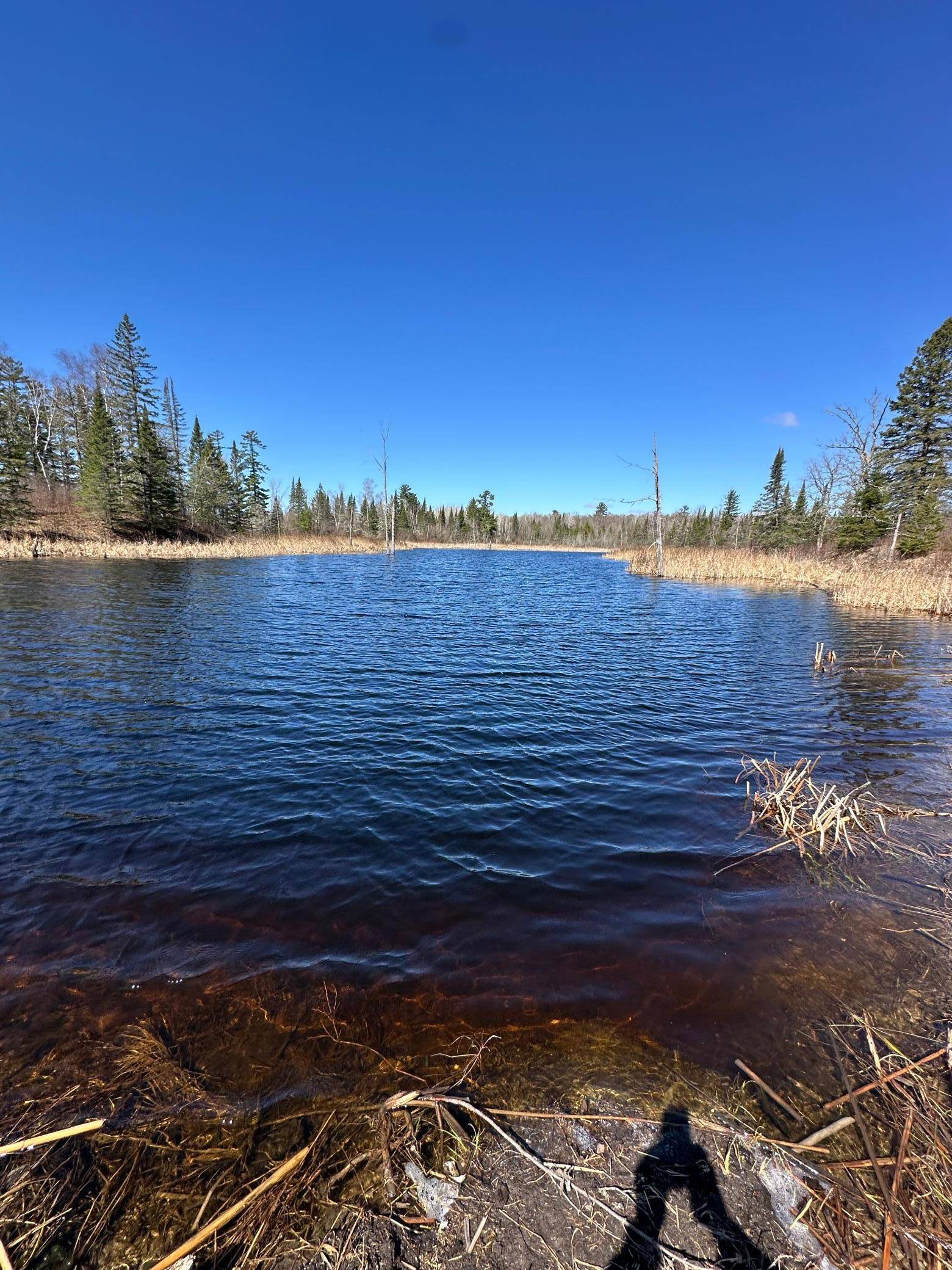 TBD CT 307, Blackduck, MN 56630