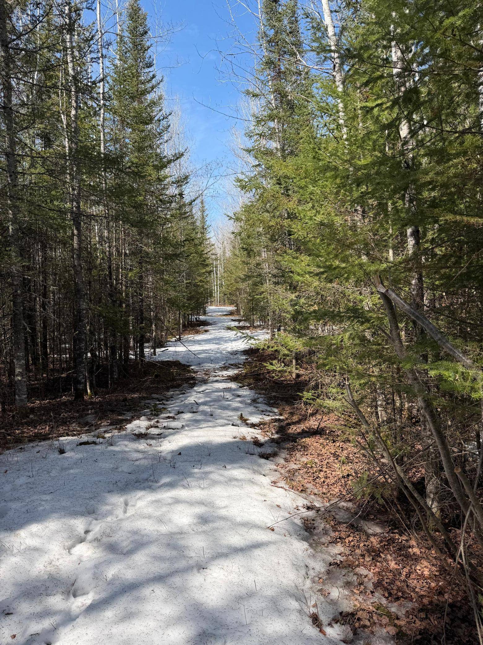 96xx Gappa RD, Kabetogama, MN 56669