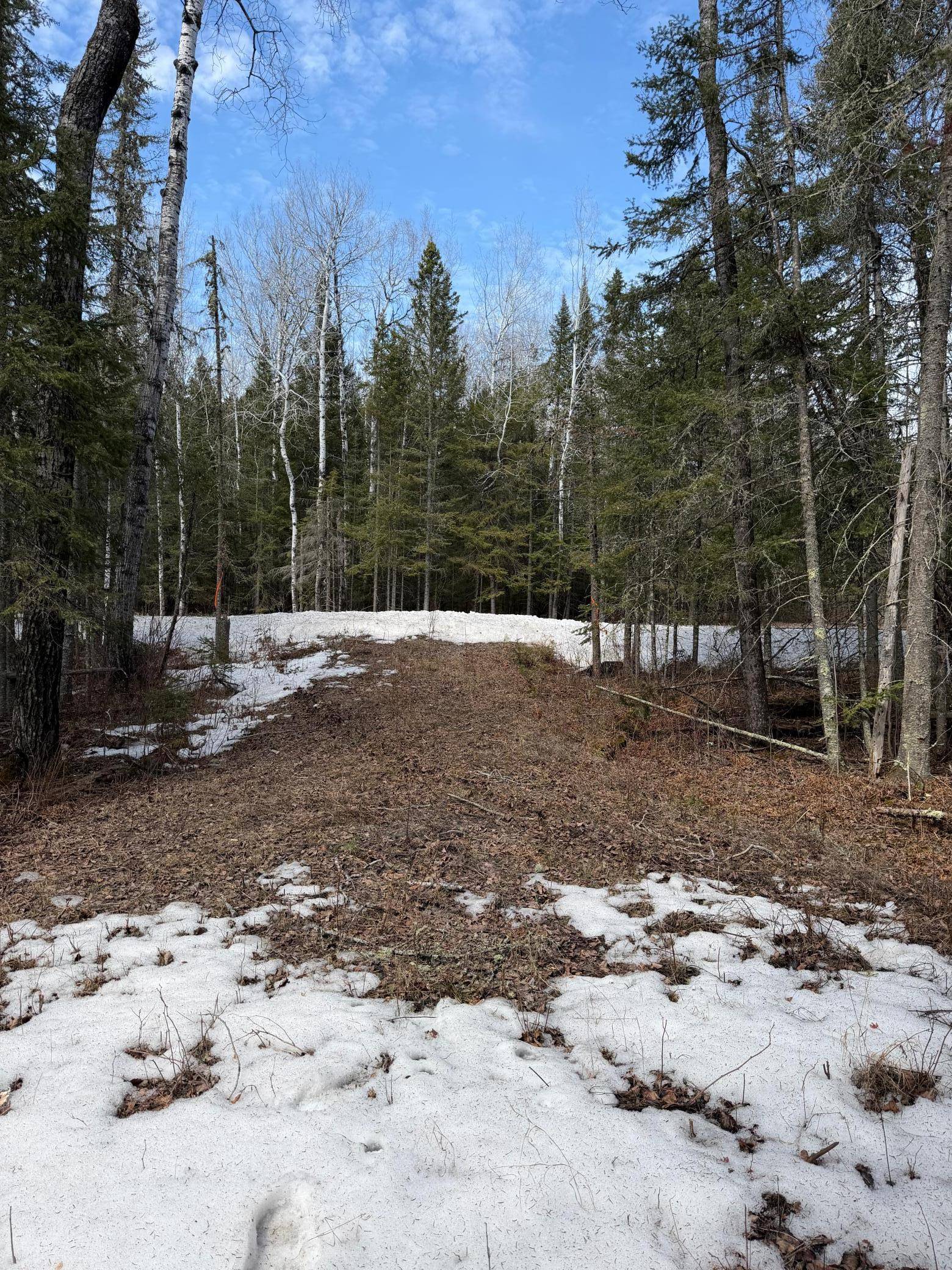 96xx Gappa RD, Kabetogama, MN 56669