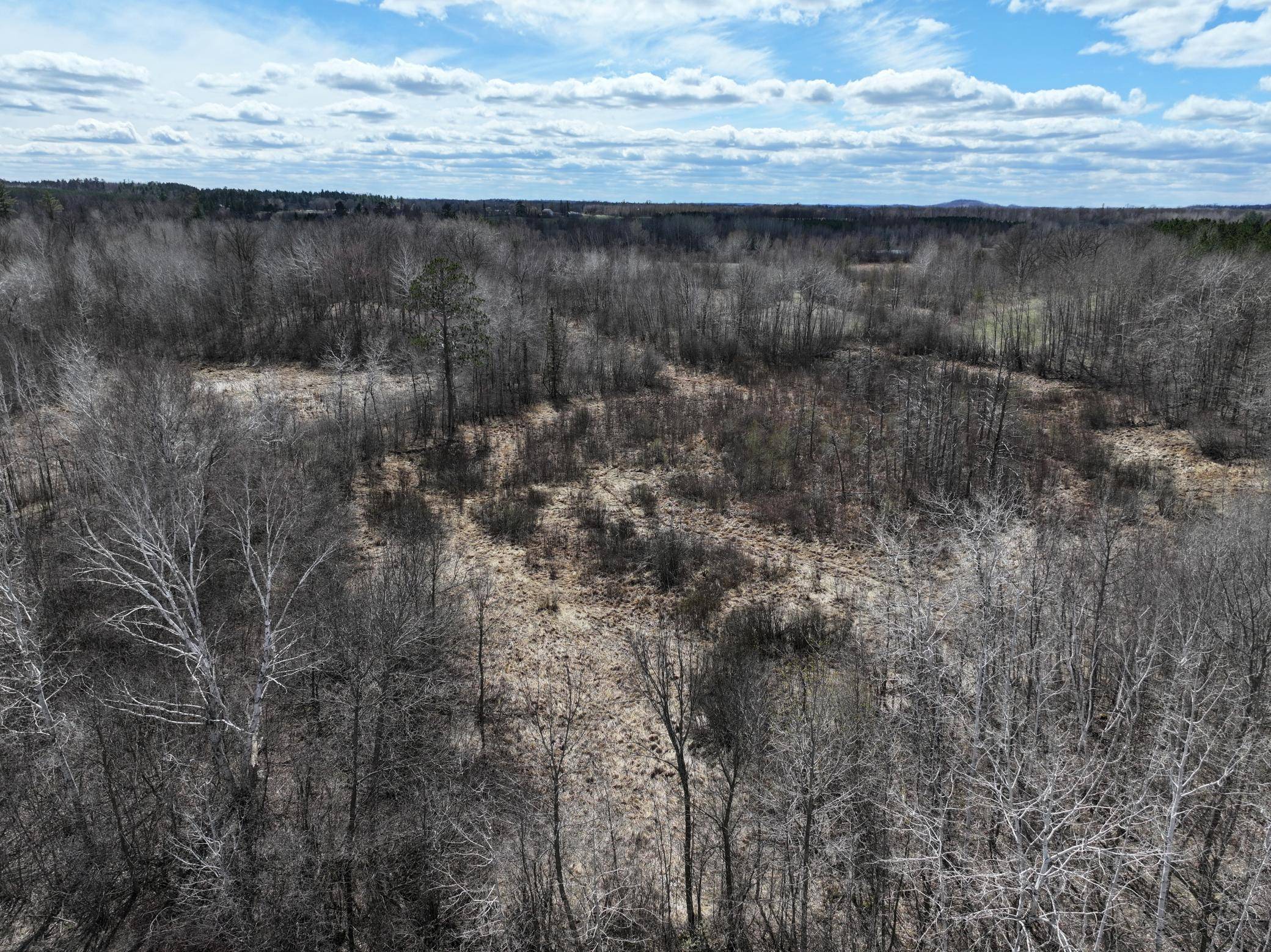 TBD Bass Lake Road, Osage, MN 56570