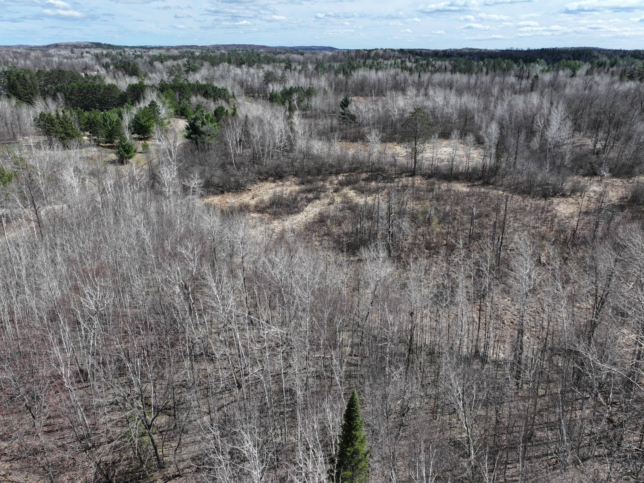 TBD Bass Lake Road, Osage, MN 56570