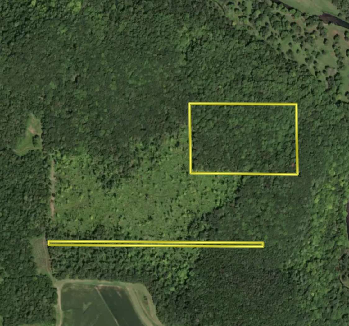 tbd Tierney DR, Saint Charles, MN 55910