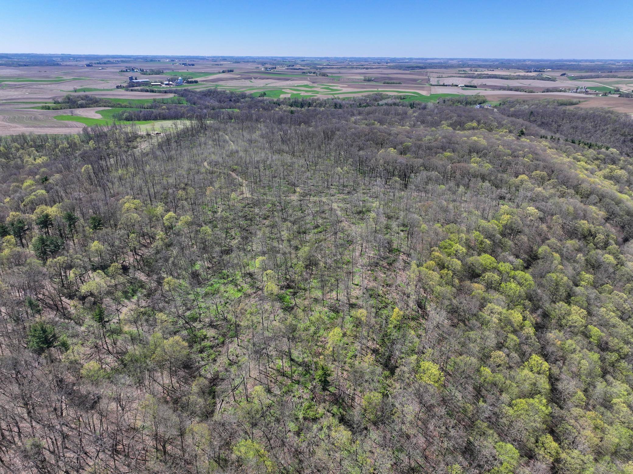 tbd Tierney DR, Saint Charles, MN 55910