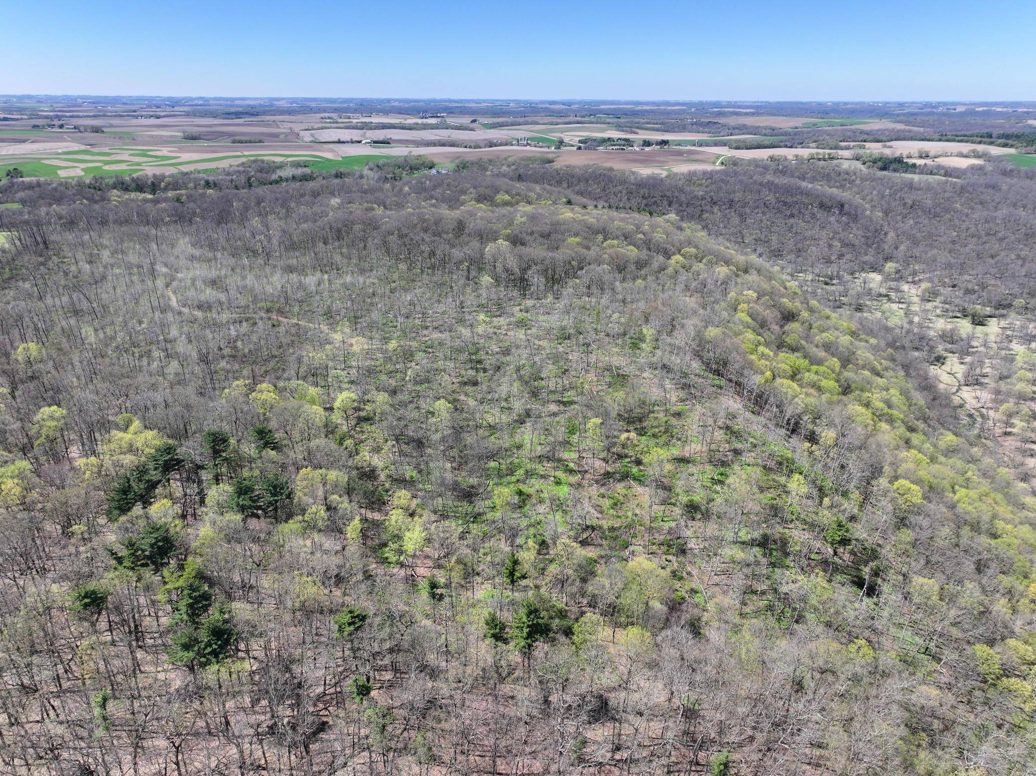 tbd Tierney DR, Saint Charles, MN 55910