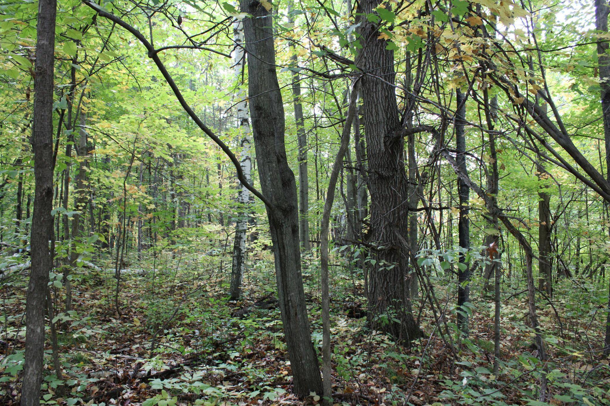 000 St Croix Trail, Taylors Falls, MN 55084