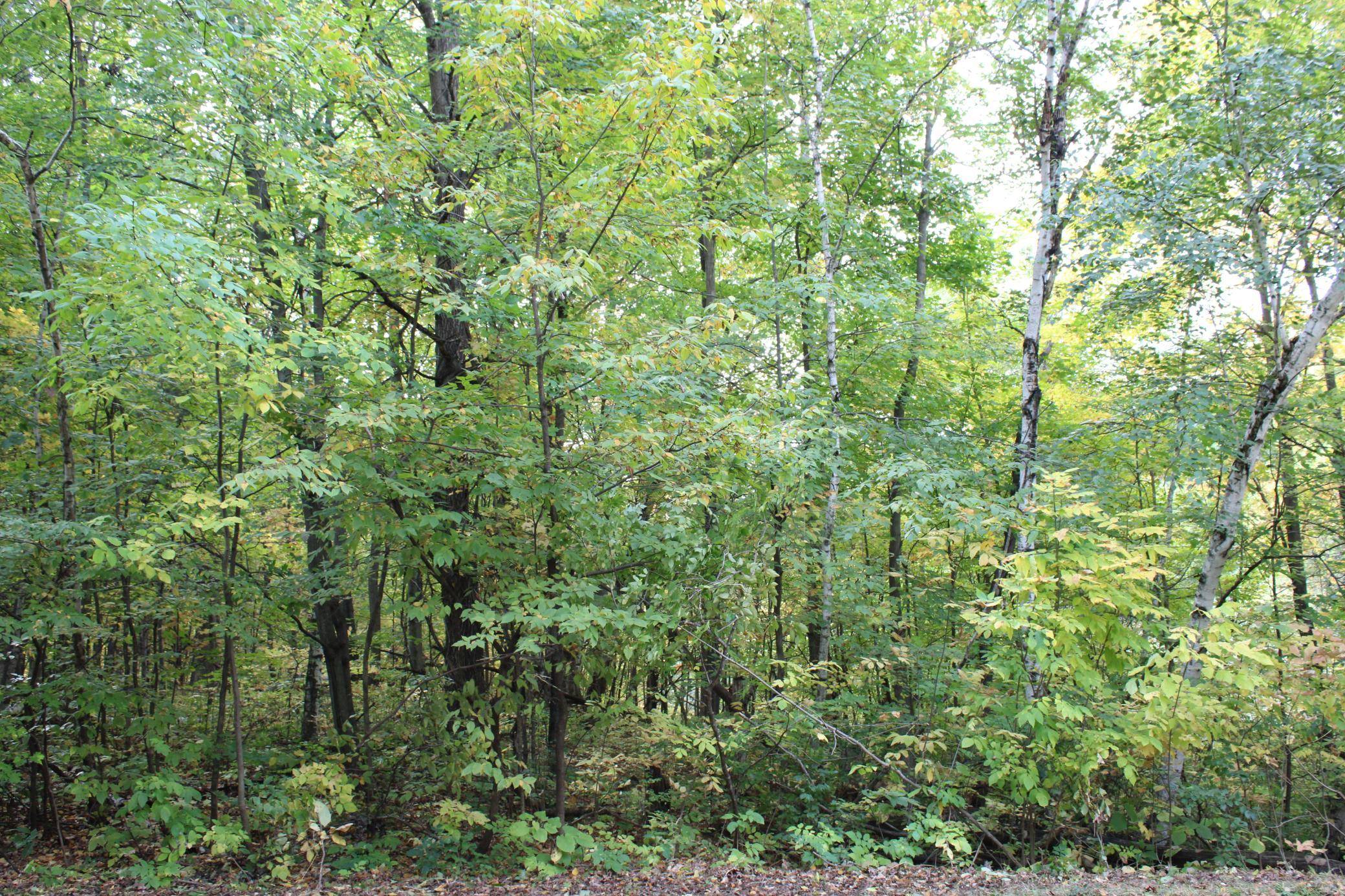 000 St Croix Trail, Taylors Falls, MN 55084