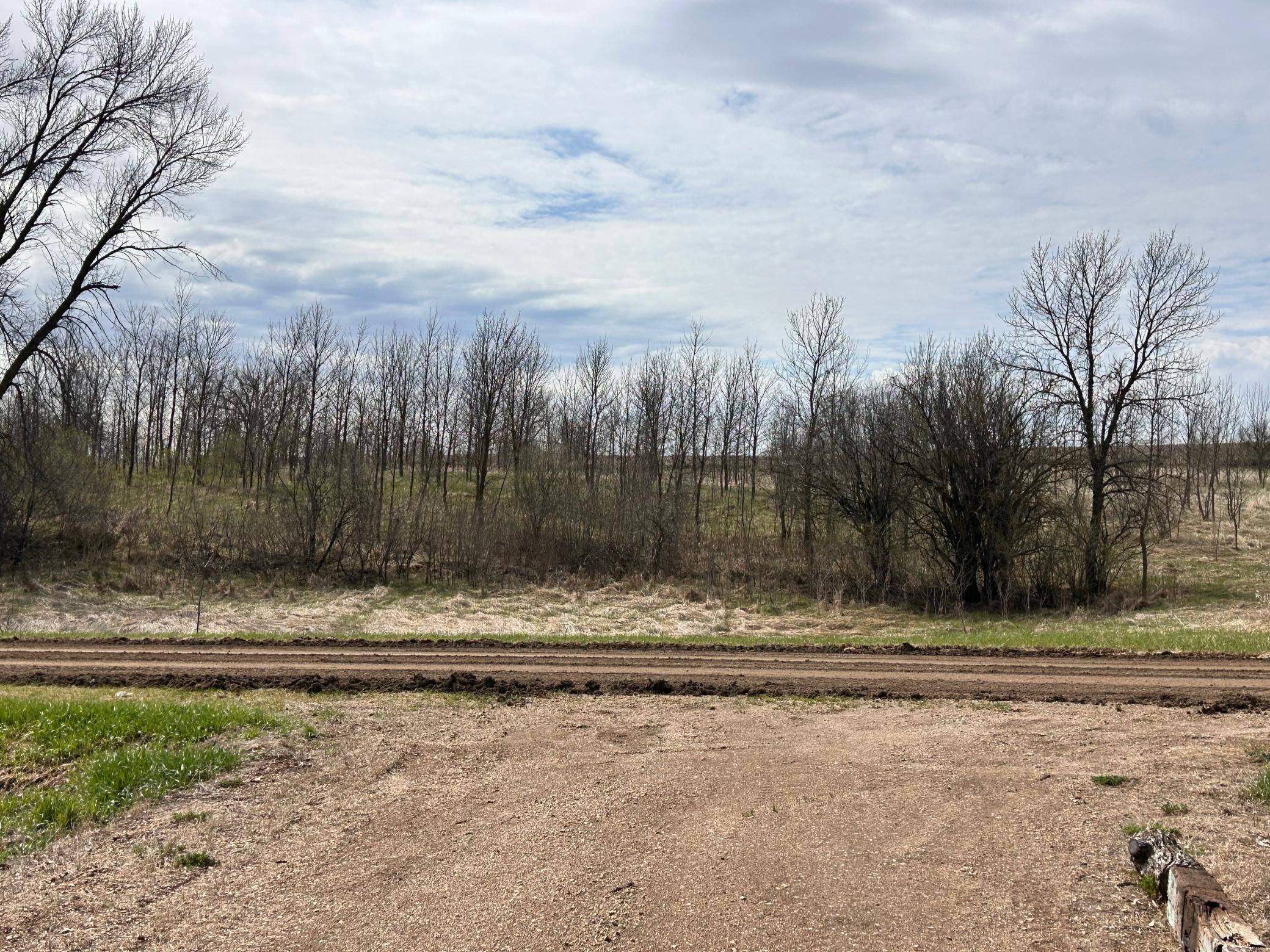 Lot 20 215th ST, Barrett, MN 56311
