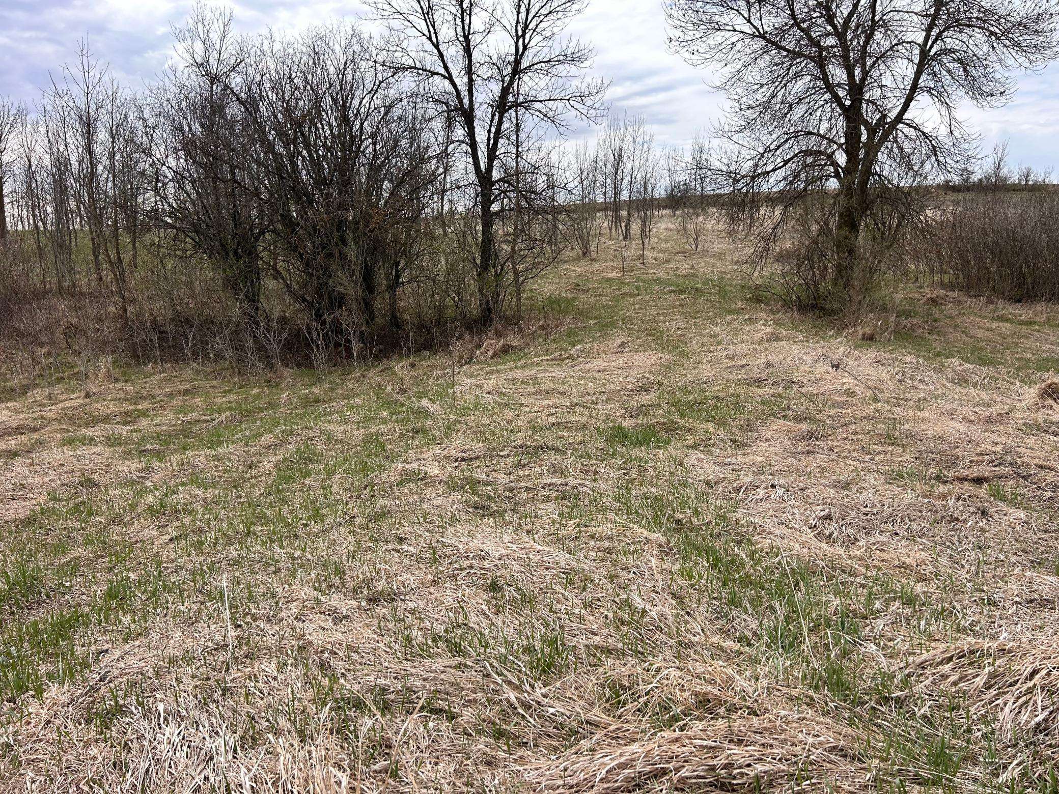 Lot 20 215th ST, Barrett, MN 56311