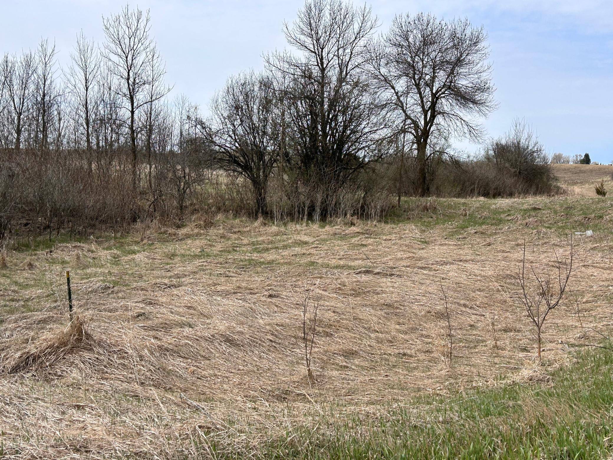 Lot 20 215th ST, Barrett, MN 56311