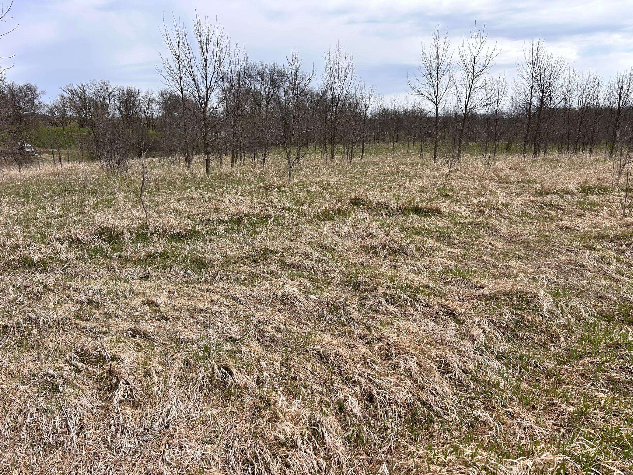Lot 20 215th ST, Barrett, MN 56311