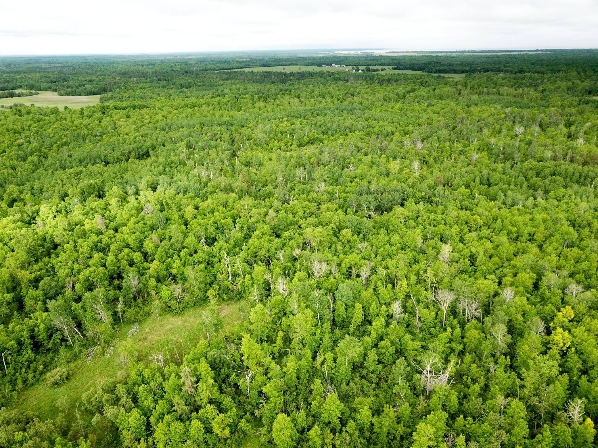 TBD Cormorant RD NE, Kelliher, MN 56650