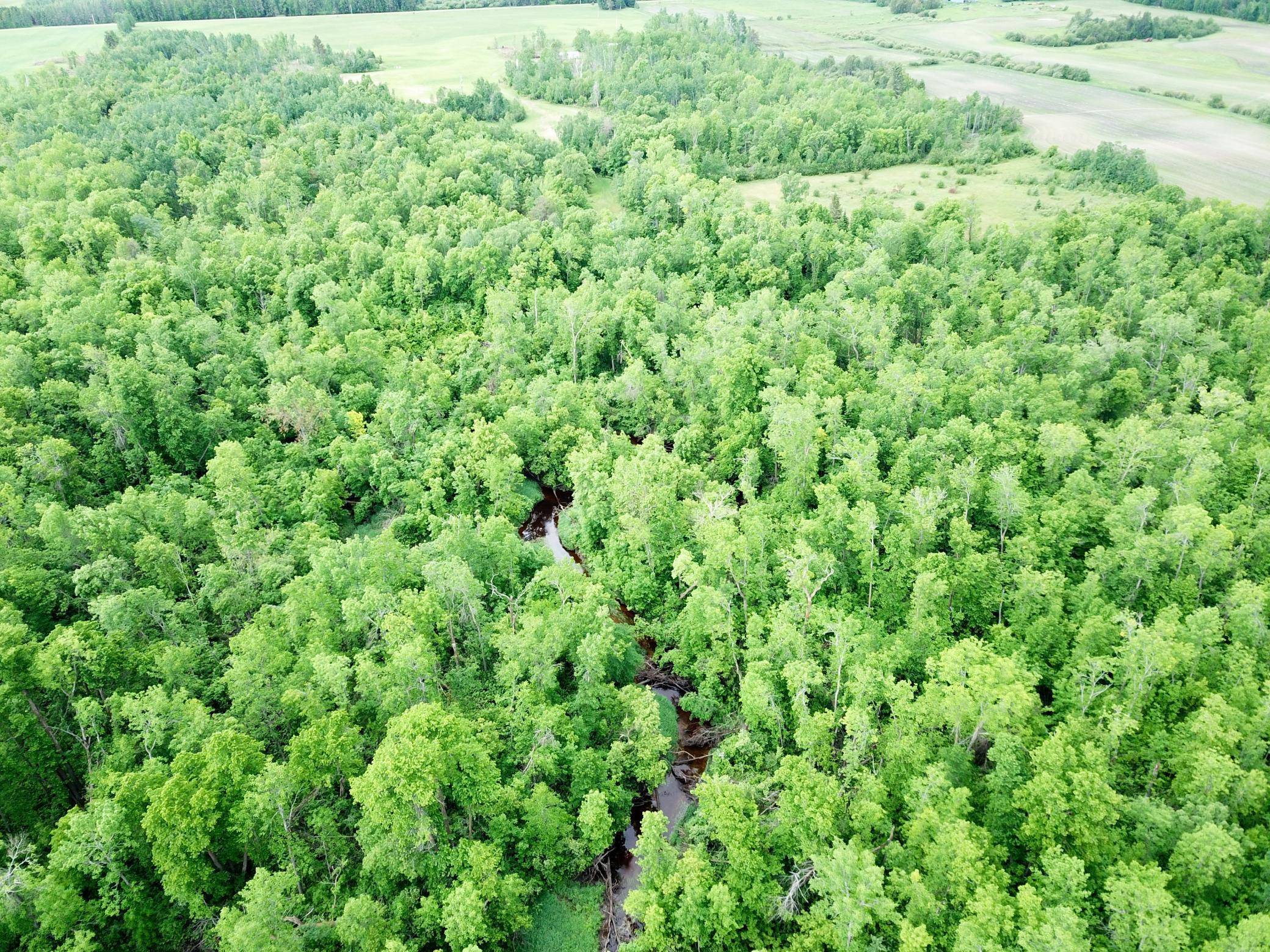 TBD Cormorant RD NE, Kelliher, MN 56650