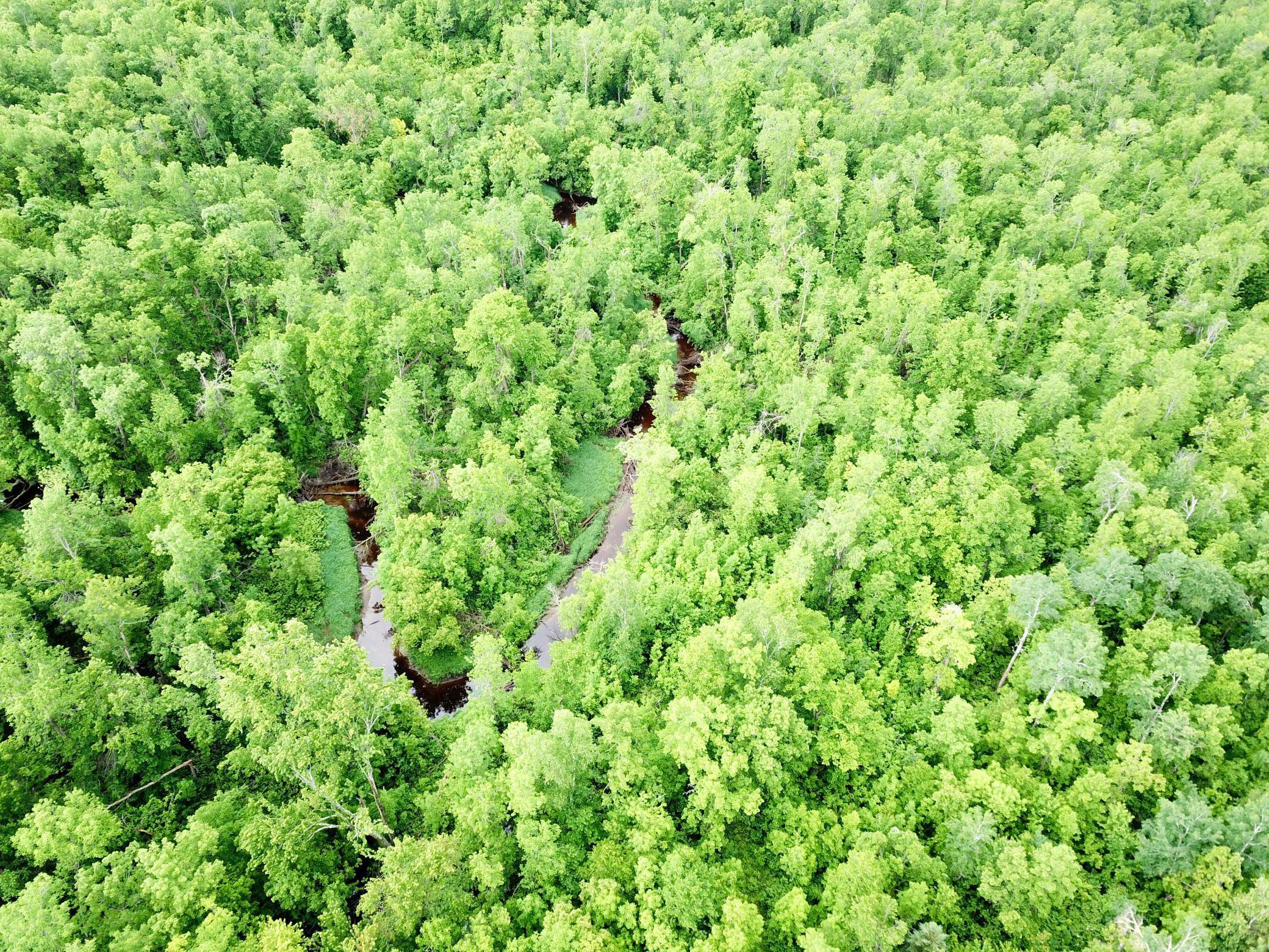 TBD Cormorant RD NE, Kelliher, MN 56650