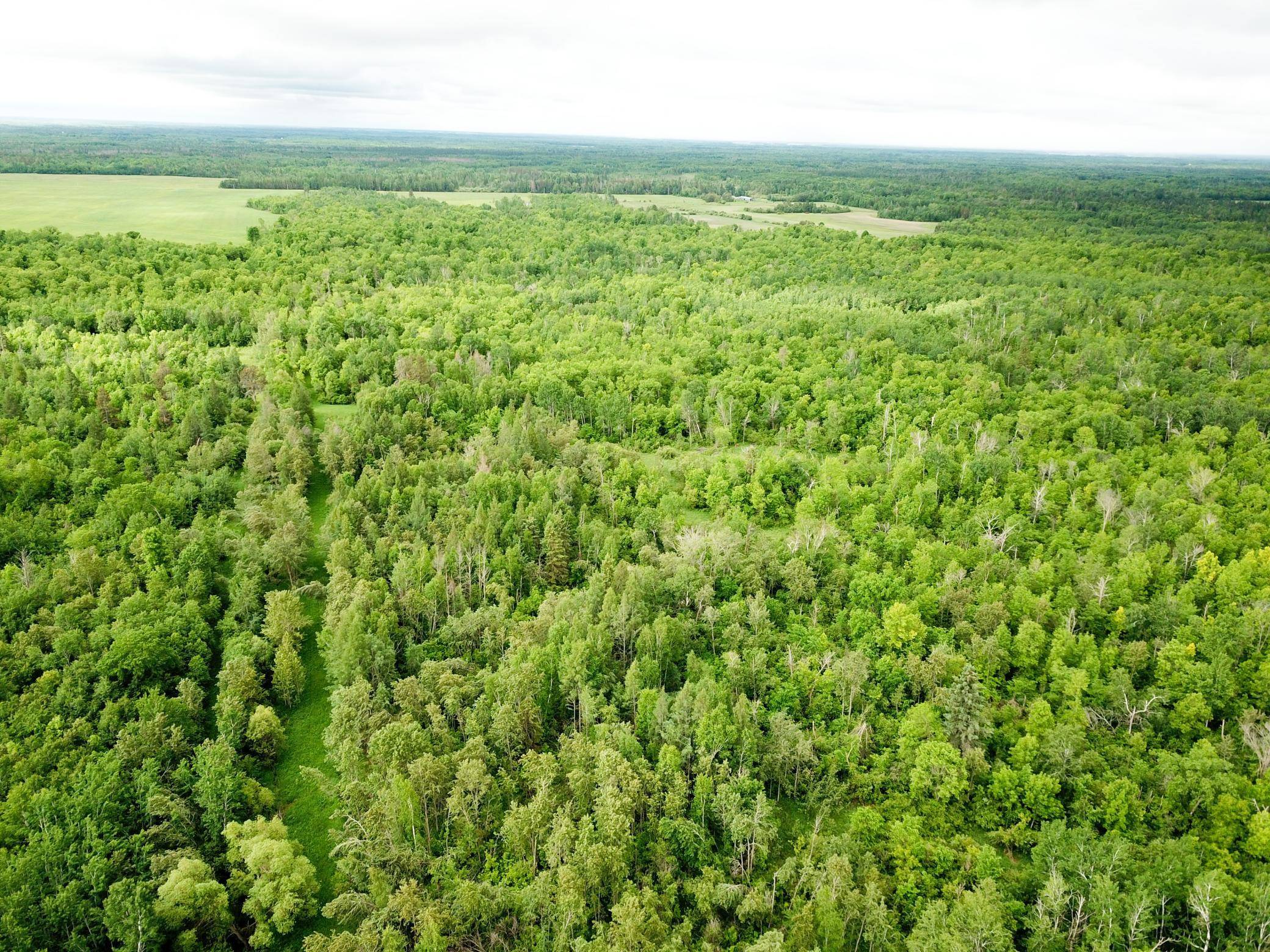 TBD Cormorant RD NE, Kelliher, MN 56650