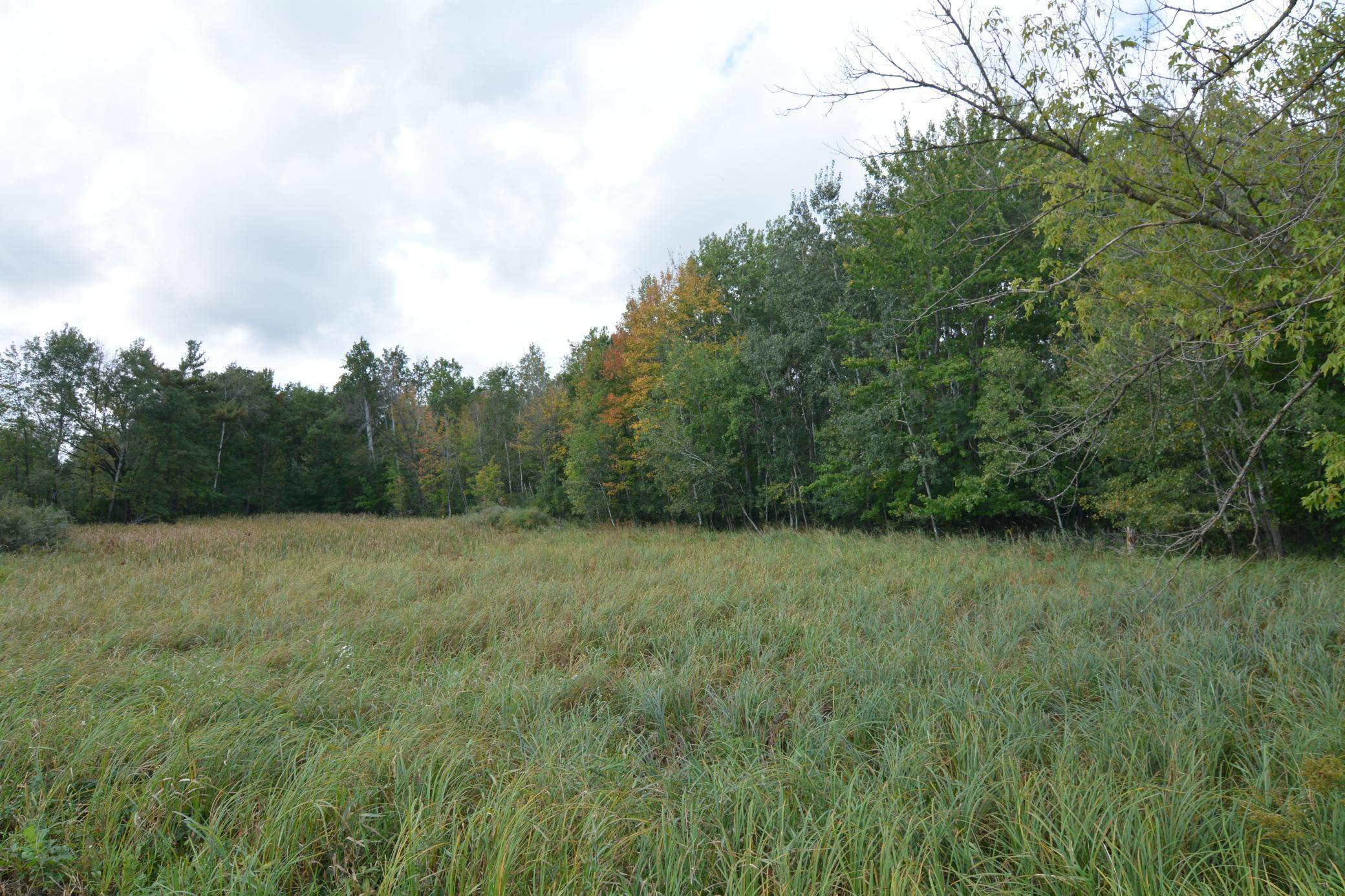 TBD 130th AVE, Milaca, MN 56353