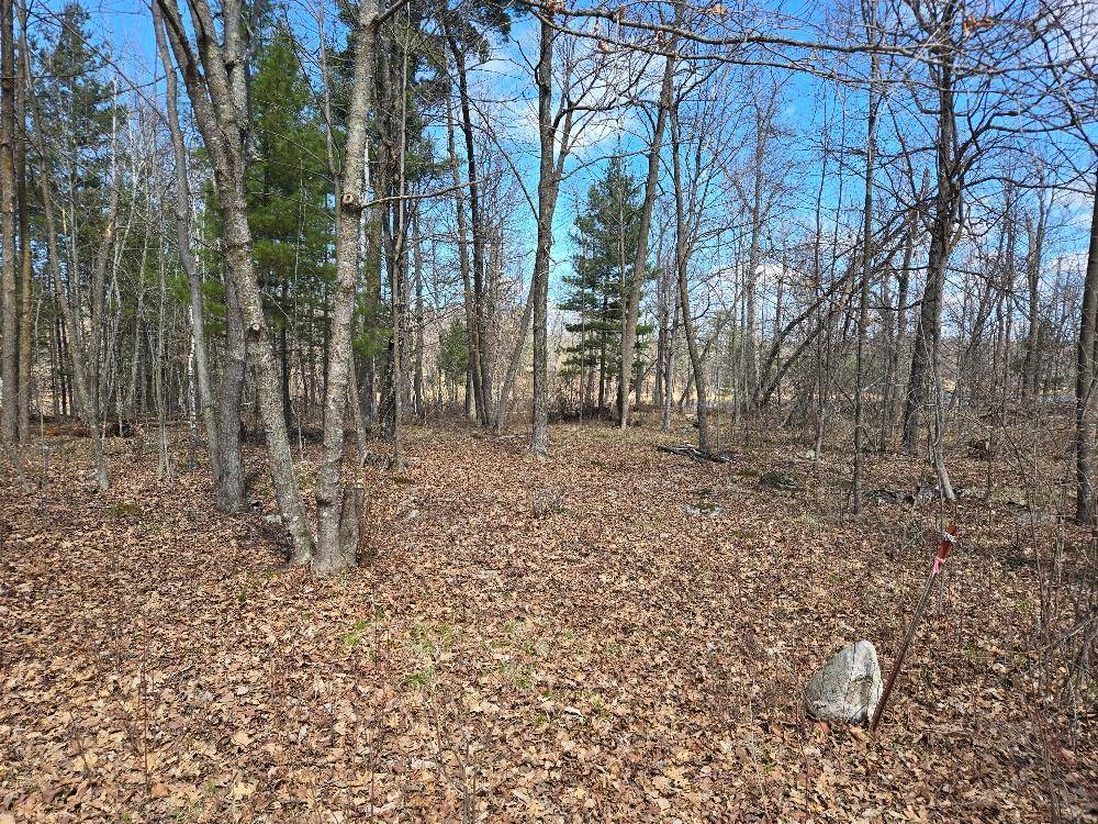 1470 Cardinal LN NE, Longville, MN 56655