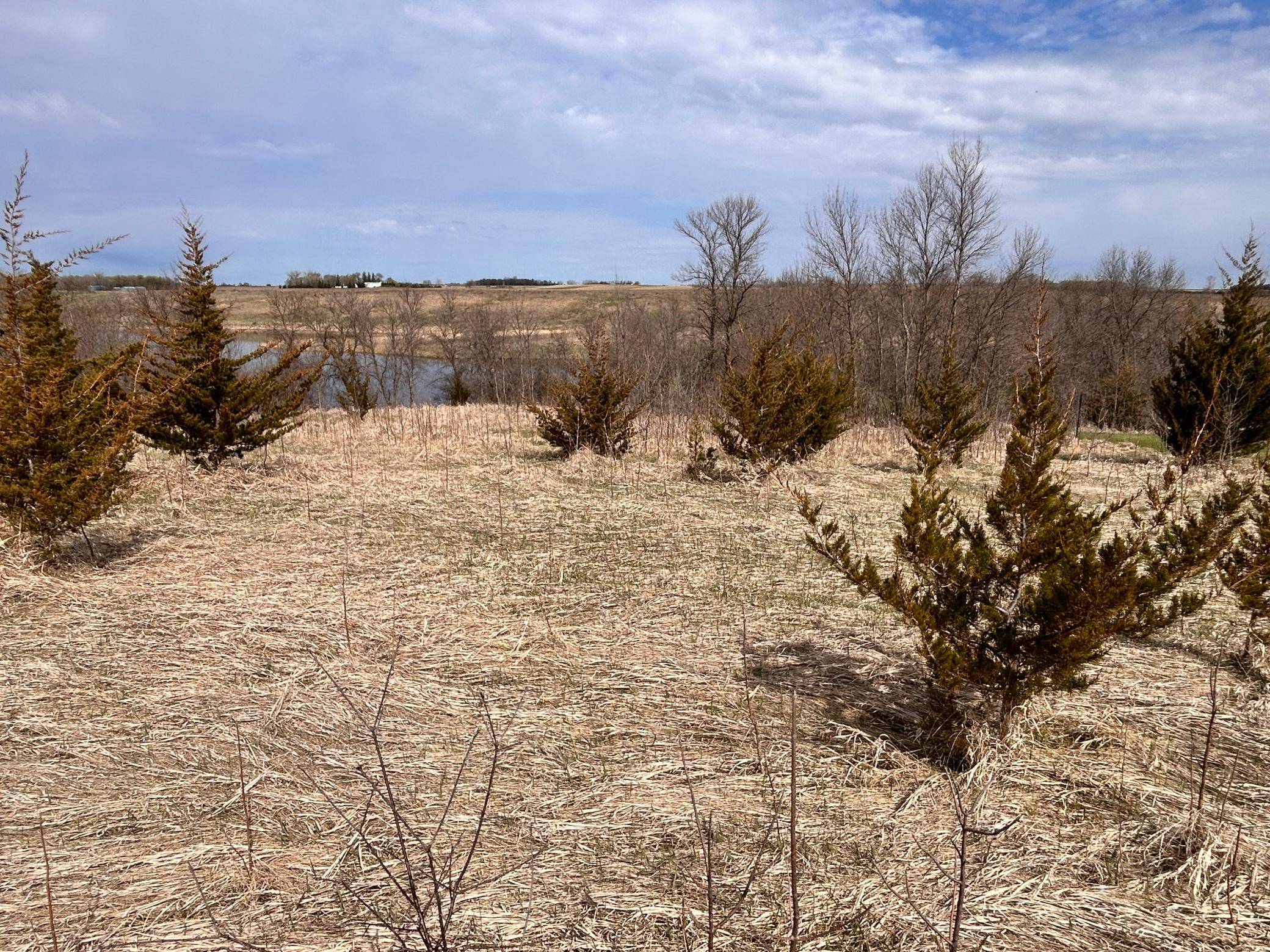 Lot 6 215th ST, Barrett, MN 56311