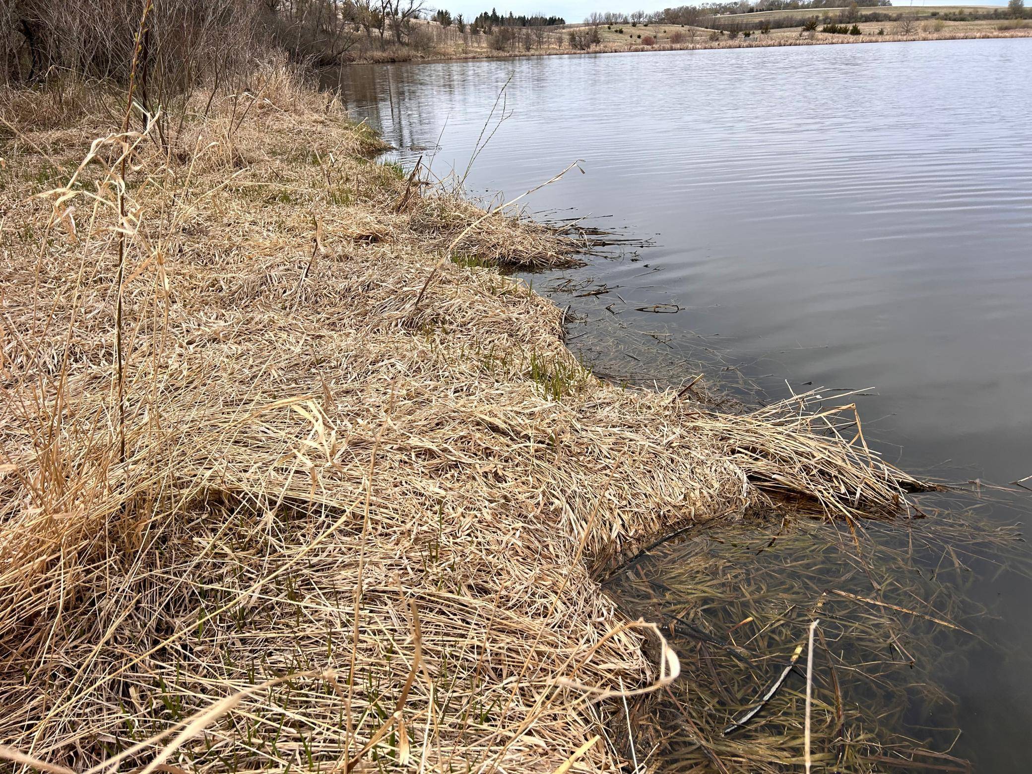 Lot 6 215th ST, Barrett, MN 56311