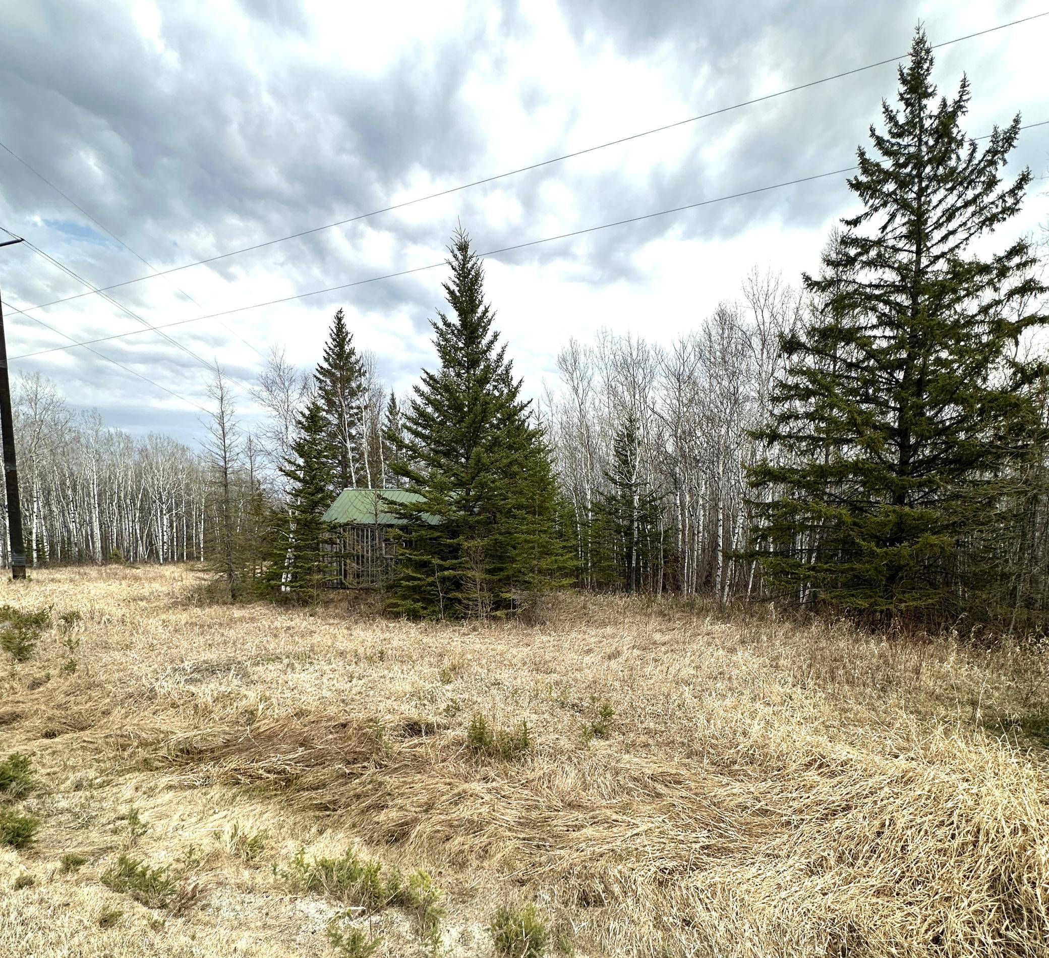 1656 78th AVE NW, Williams, MN 56686
