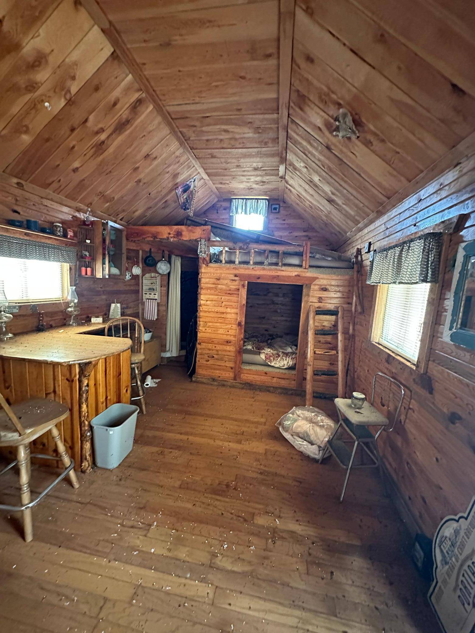 1656 78th AVE NW, Williams, MN 56686