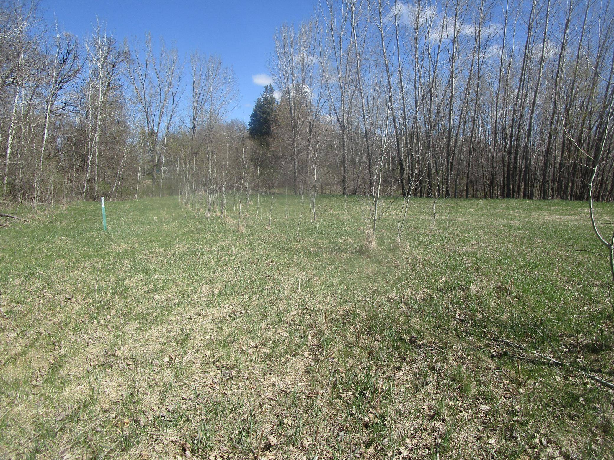 TBD Burgen TER SE, Alexandria, MN 56308