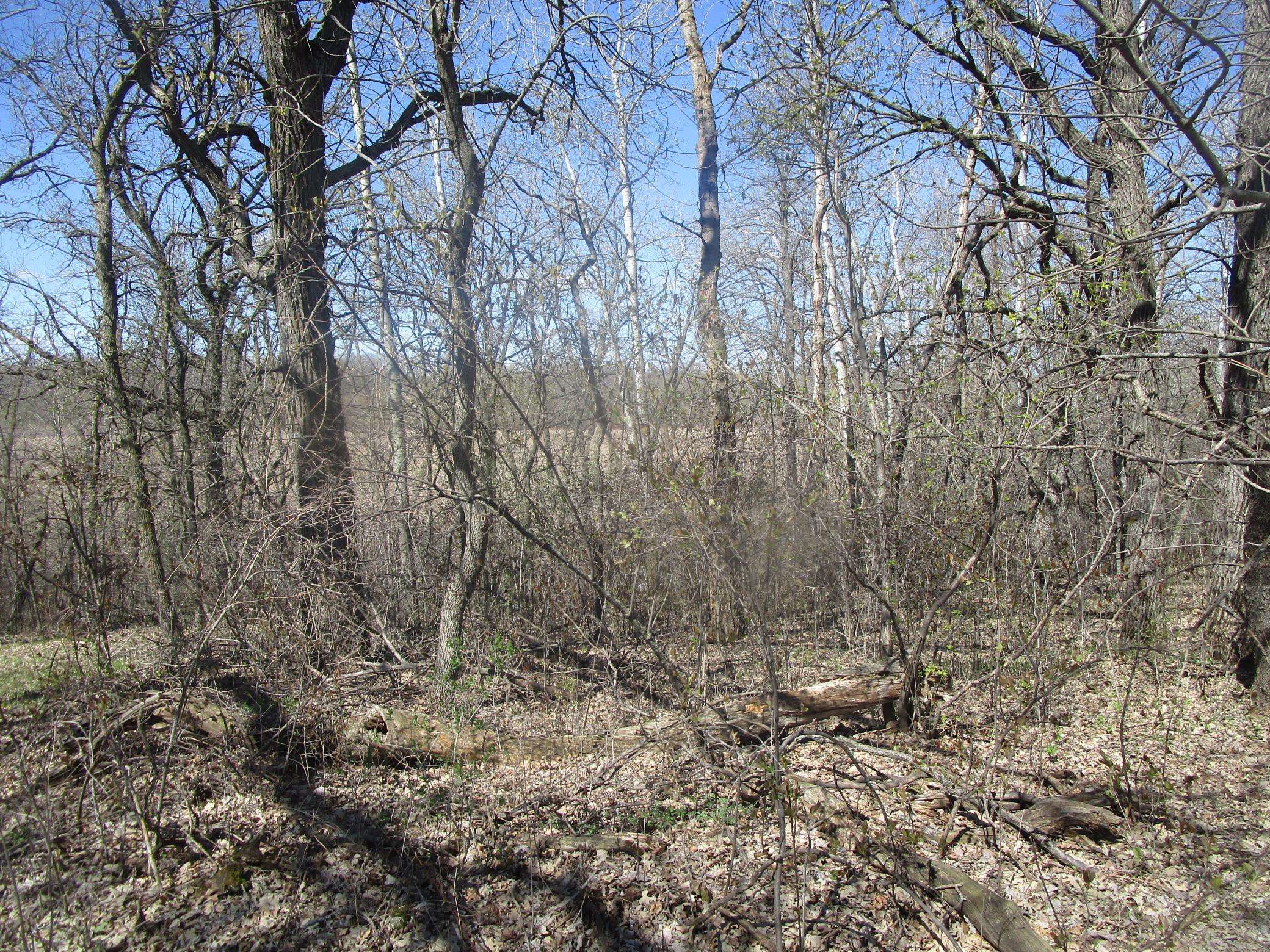 TBD Burgen TER SE, Alexandria, MN 56308
