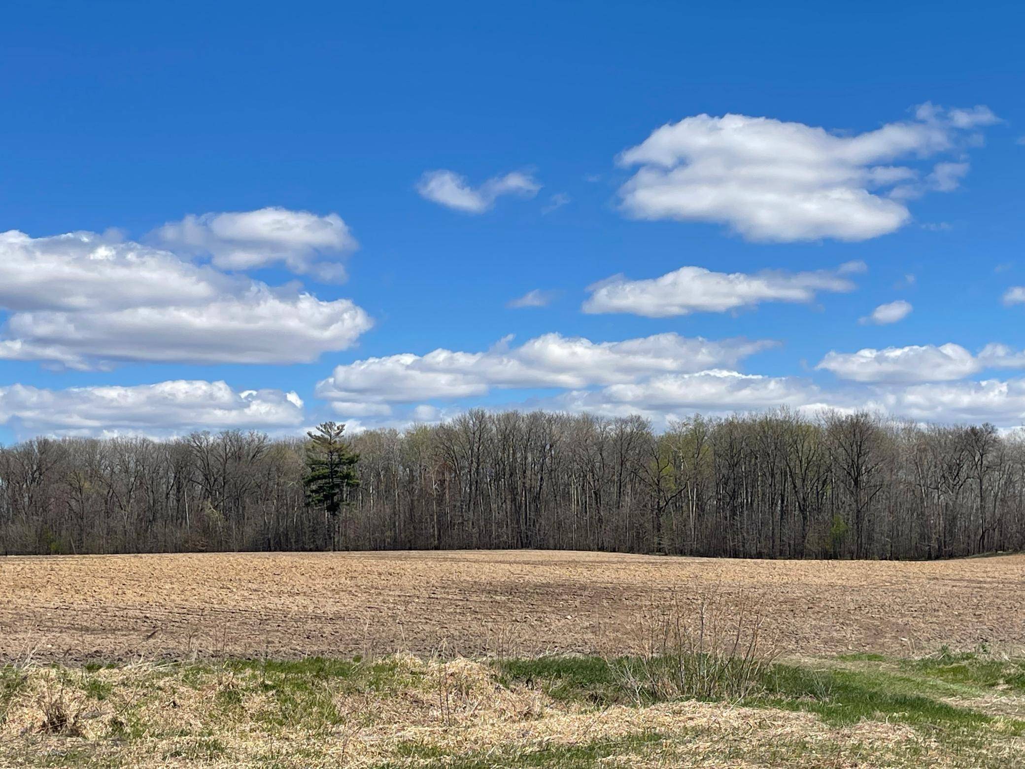 XXX 92nd Avenue, Princeton, MN 55371