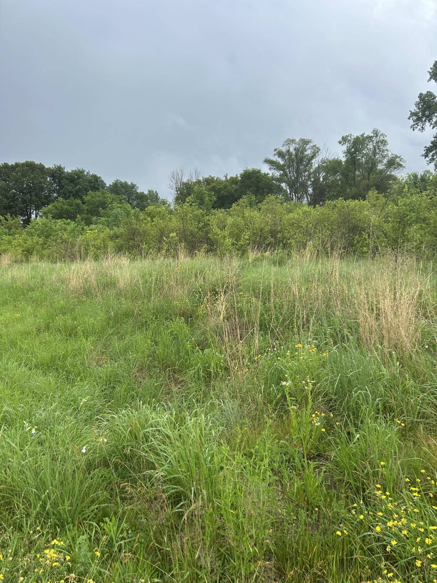 XXXX 280th ST, Northfield, MN 55057