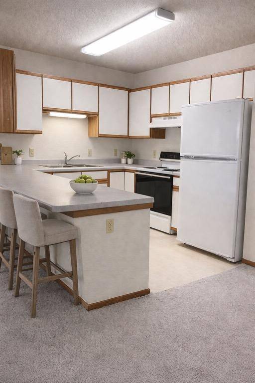 400 11th AVE NE #107, Waseca, MN 56093