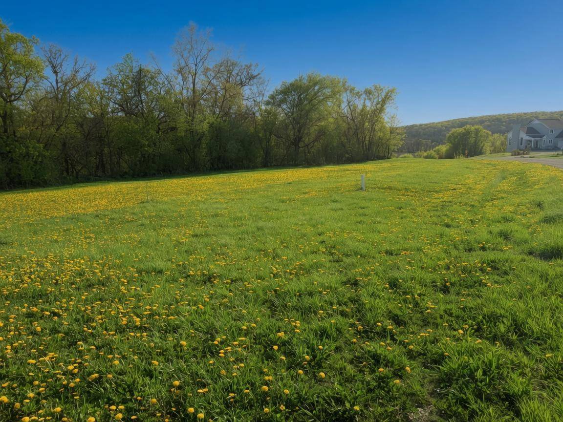 TBD Vista Ridge LN NW, Byron, MN 55901