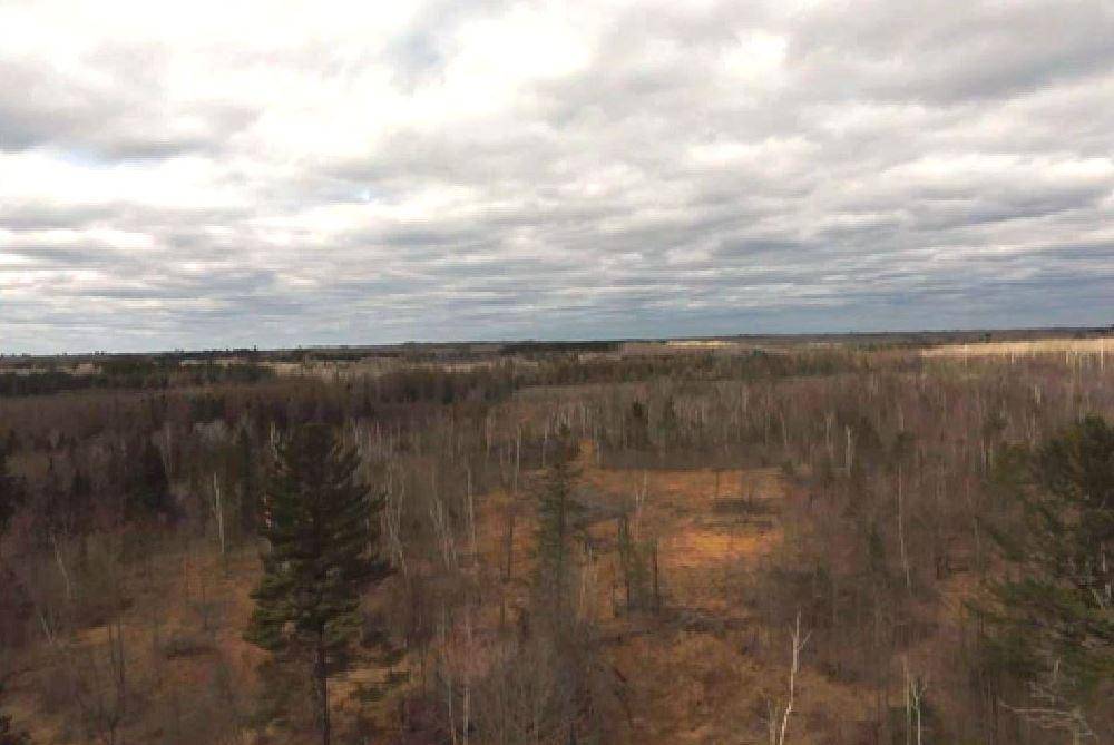 TBD40 Township Road 5743 RD, Alborn, MN 55702