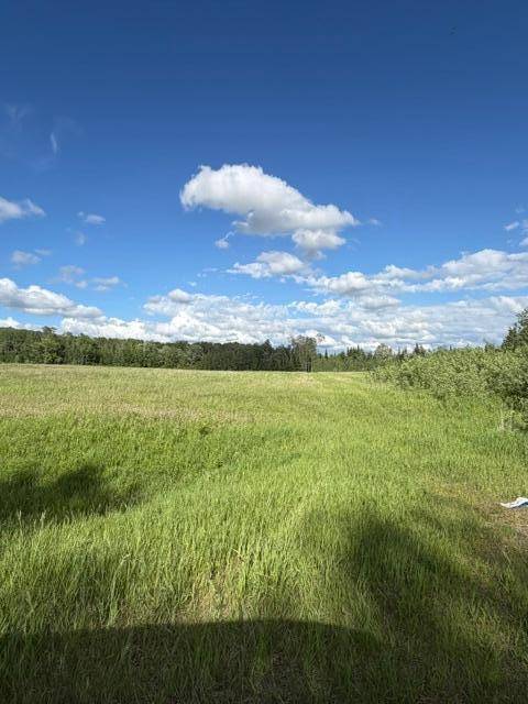 TBD County 63, Boy River, MN 56672
