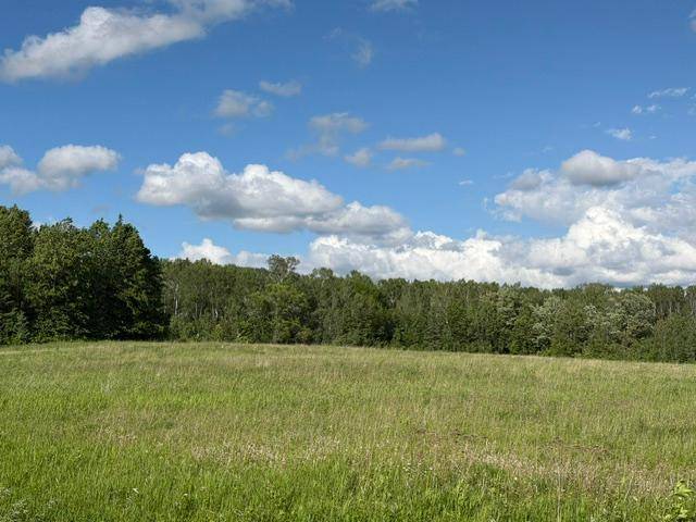 TBD County 63, Boy River, MN 56672