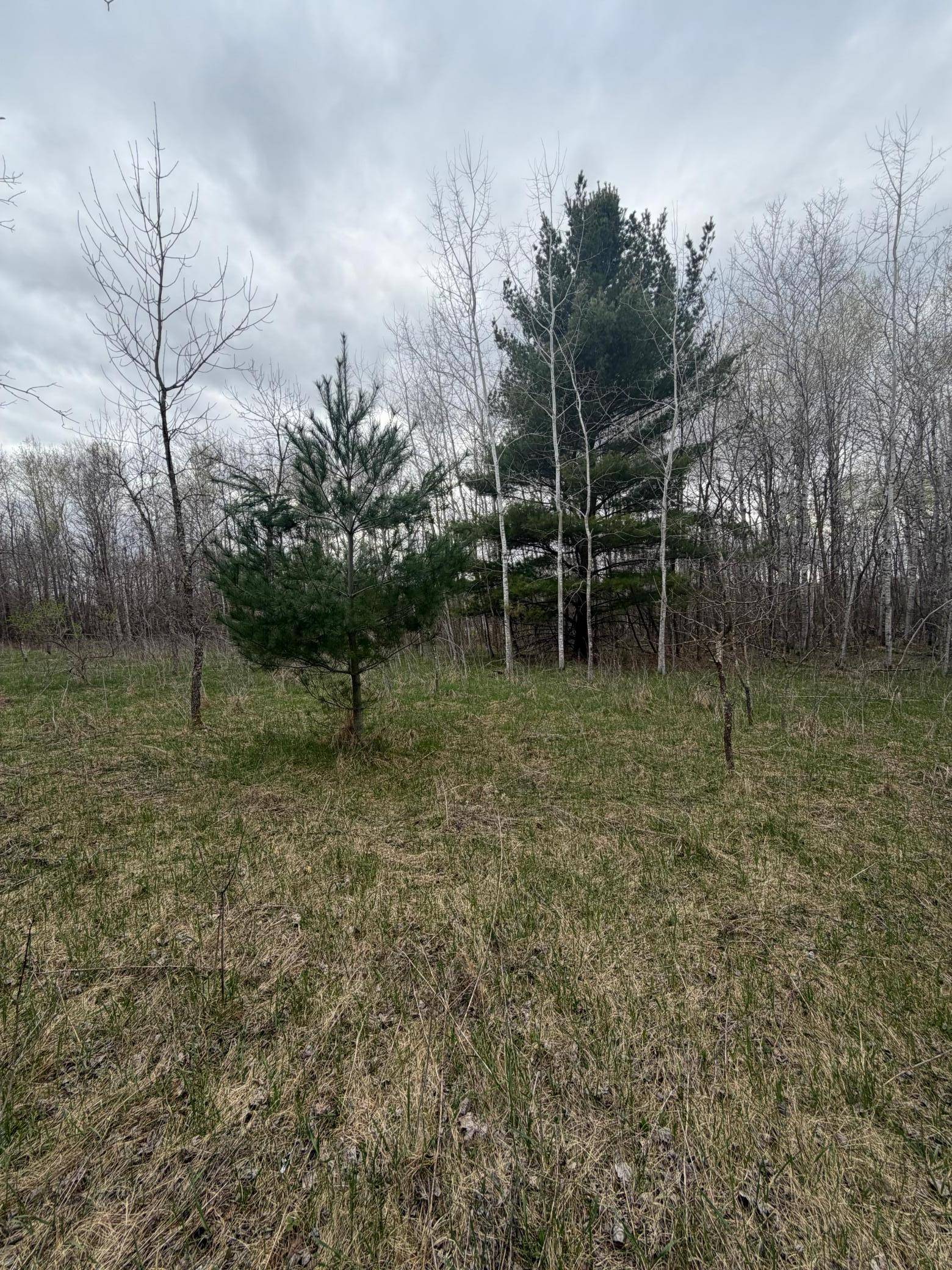 TBD Ottawa, Browerville, MN 56438