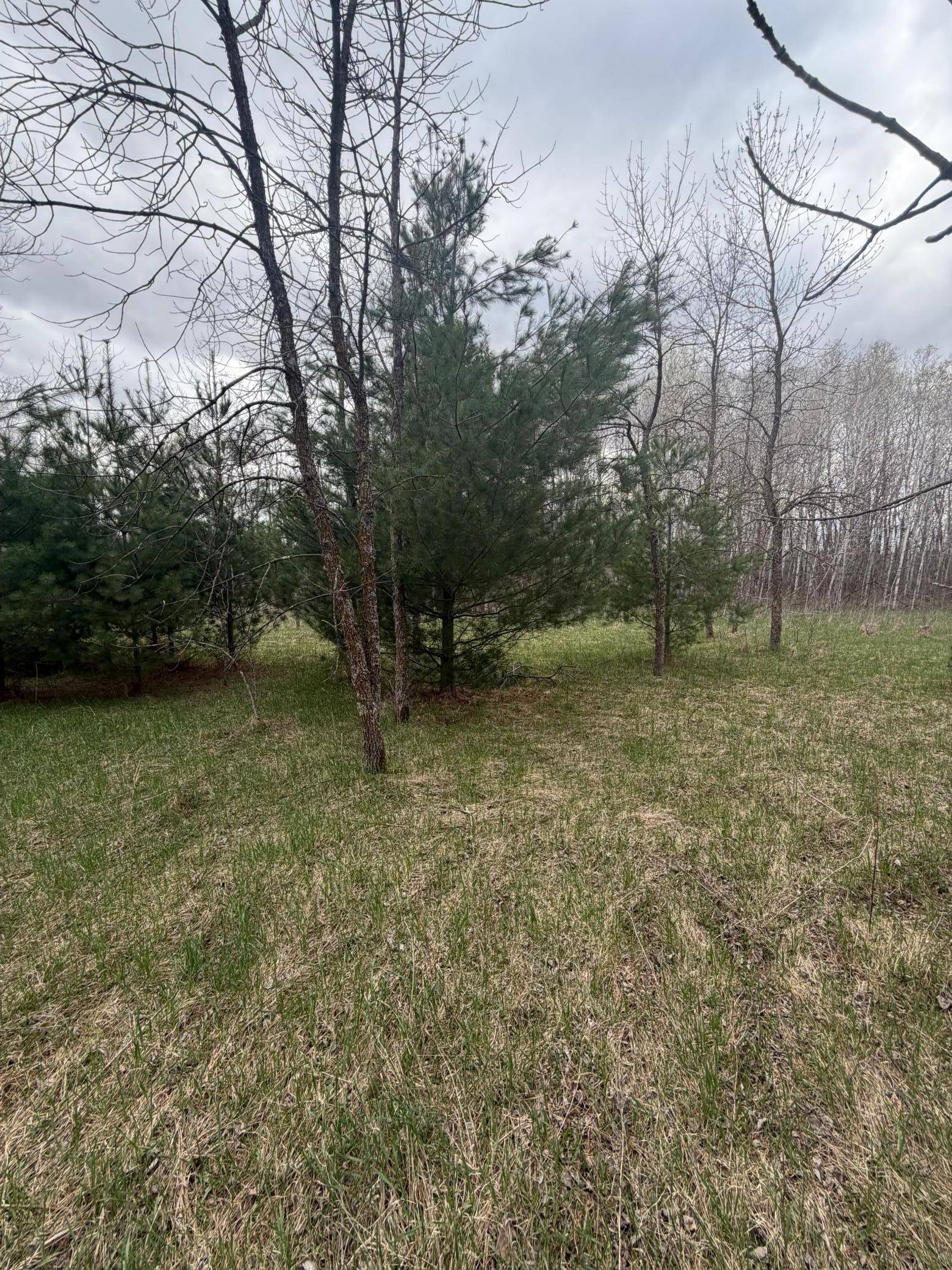 TBD Ottawa, Browerville, MN 56438
