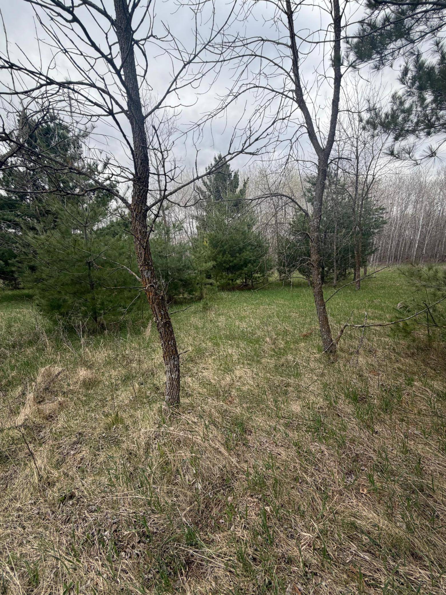TBD Ottawa, Browerville, MN 56438