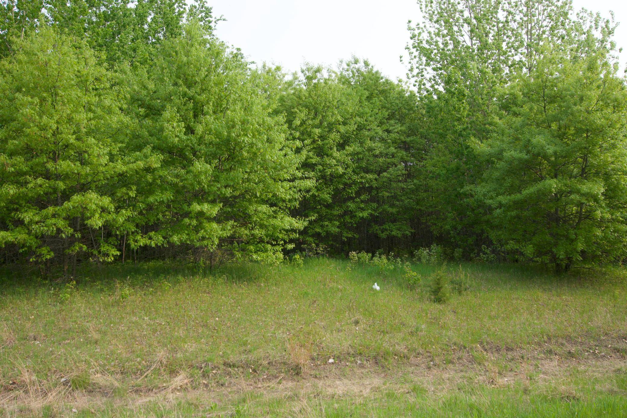XXX Lot 3 283rd AVE NW, Zimmerman, MN 55398