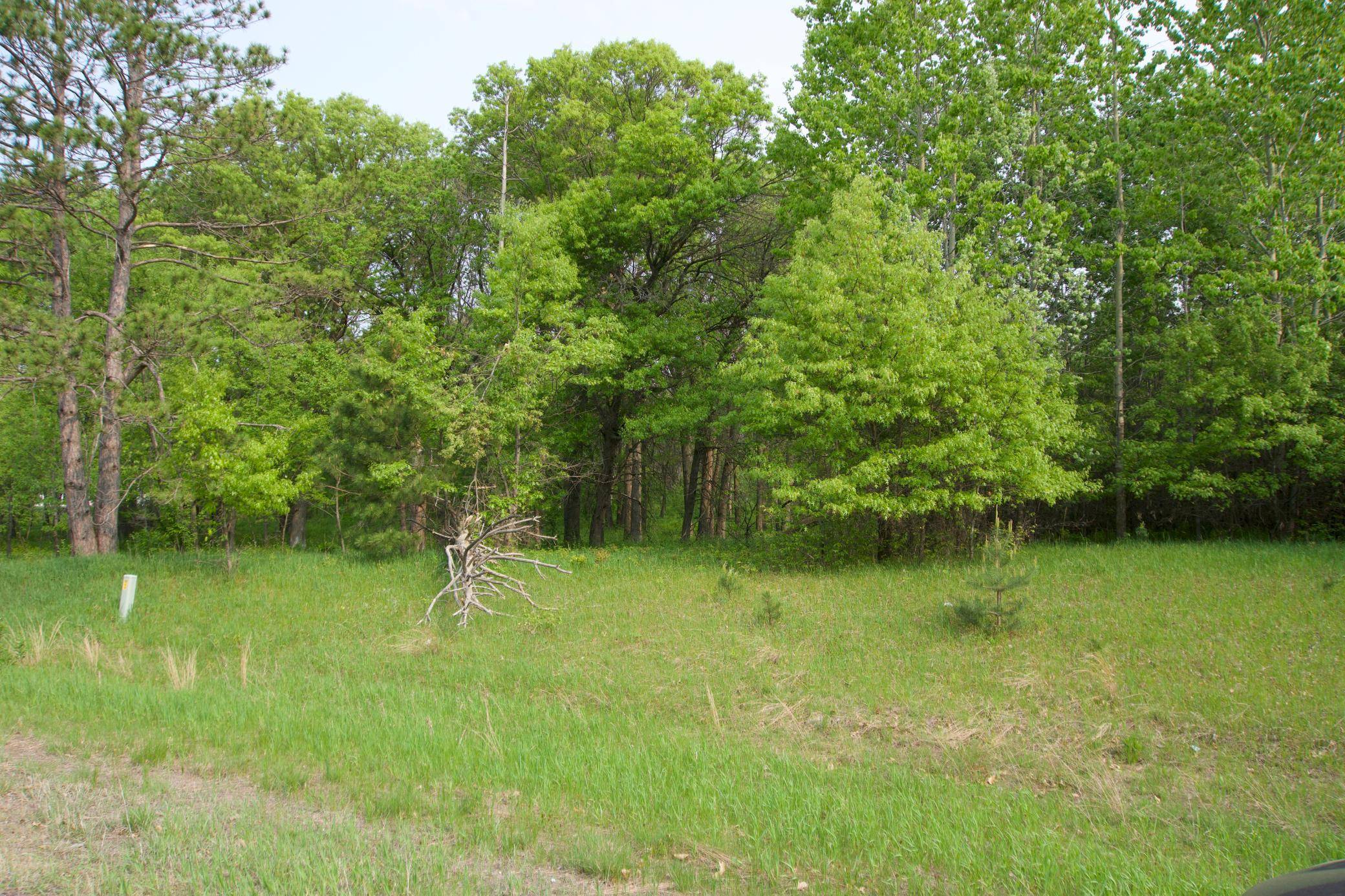 XXX Lot 3 283rd AVE NW, Zimmerman, MN 55398