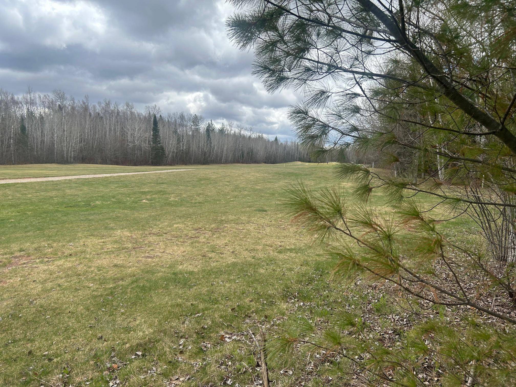 TBD N Birch Drive, Coleraine, MN 55721