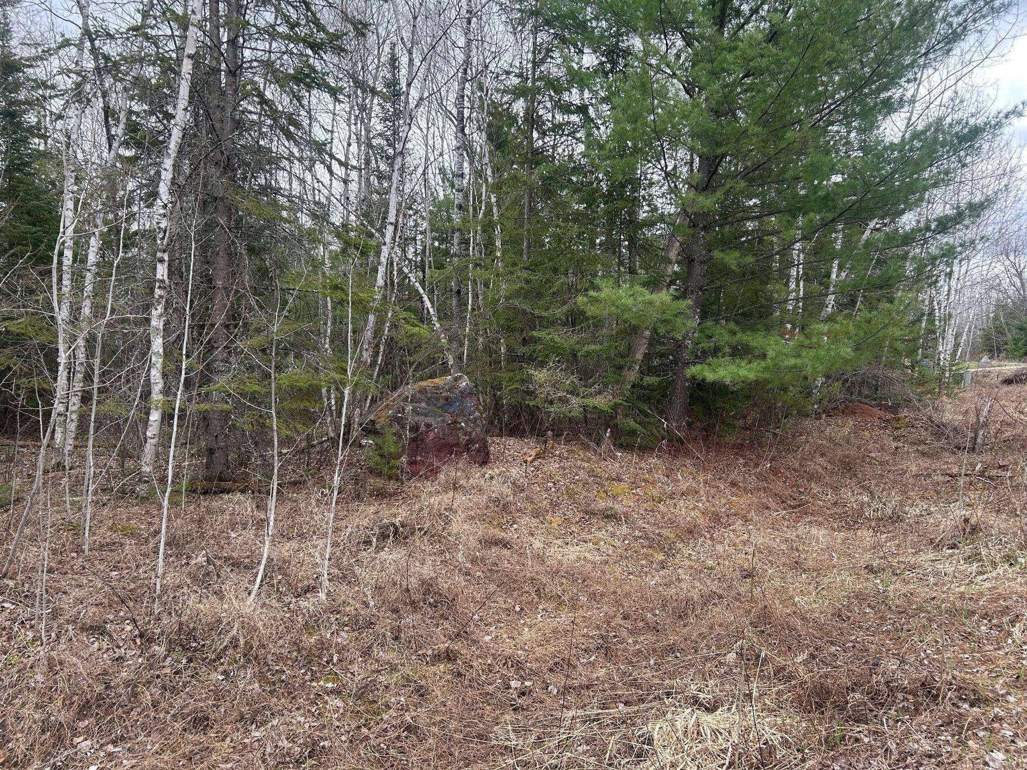 TBD N Birch Drive, Coleraine, MN 55721