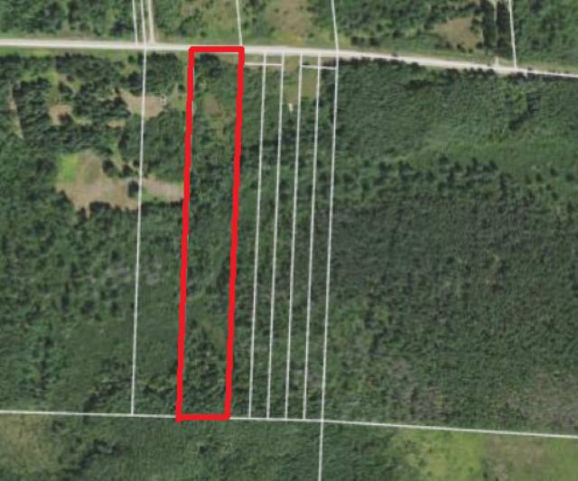 TBD County Rd 55, Nashwauk, MN 55769