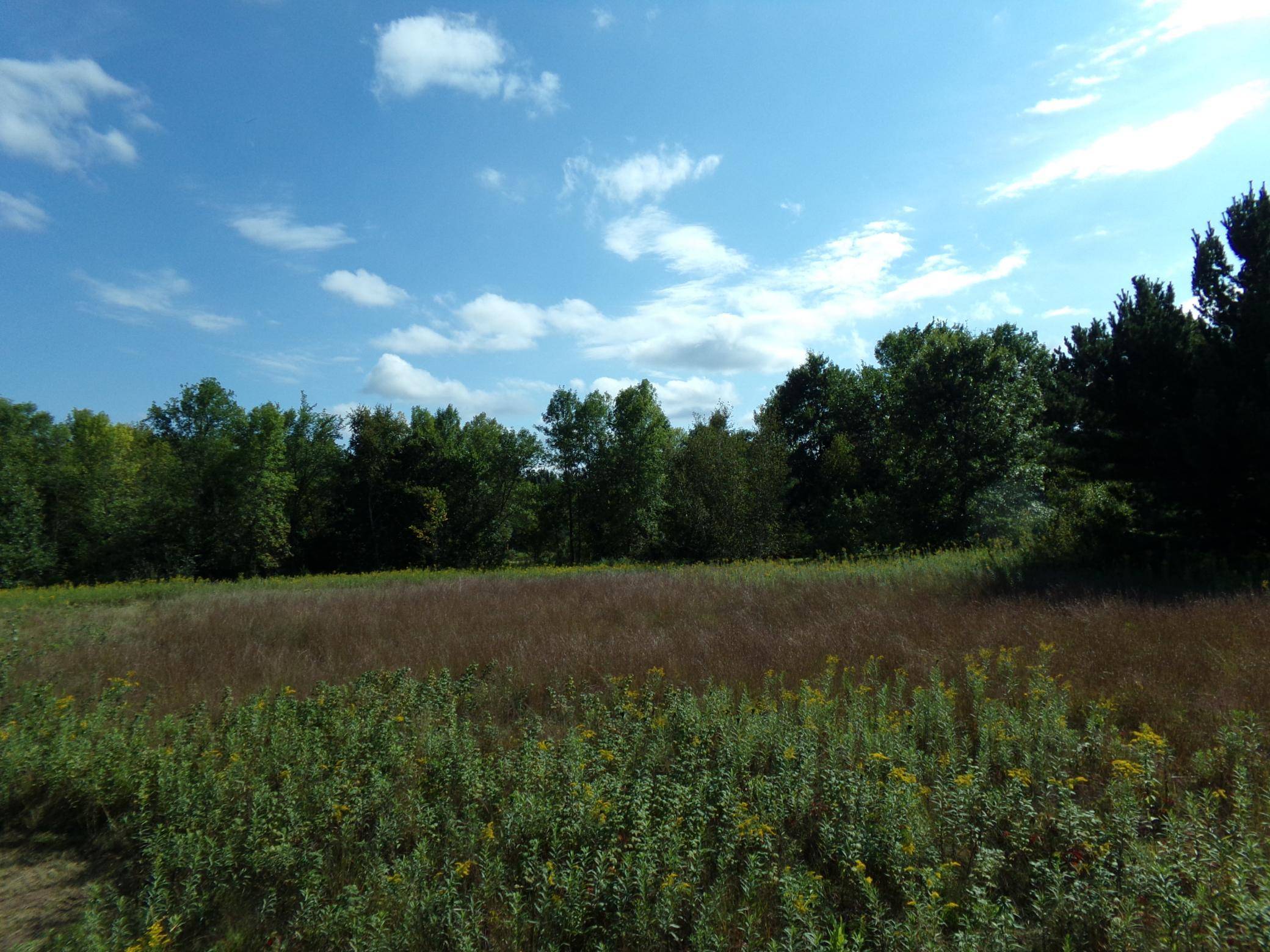 67xx Old Sawmill RD, Harris, MN 55032